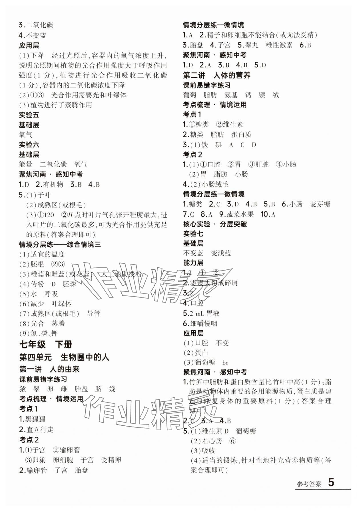 2025年中考通生物河南專版 參考答案第4頁