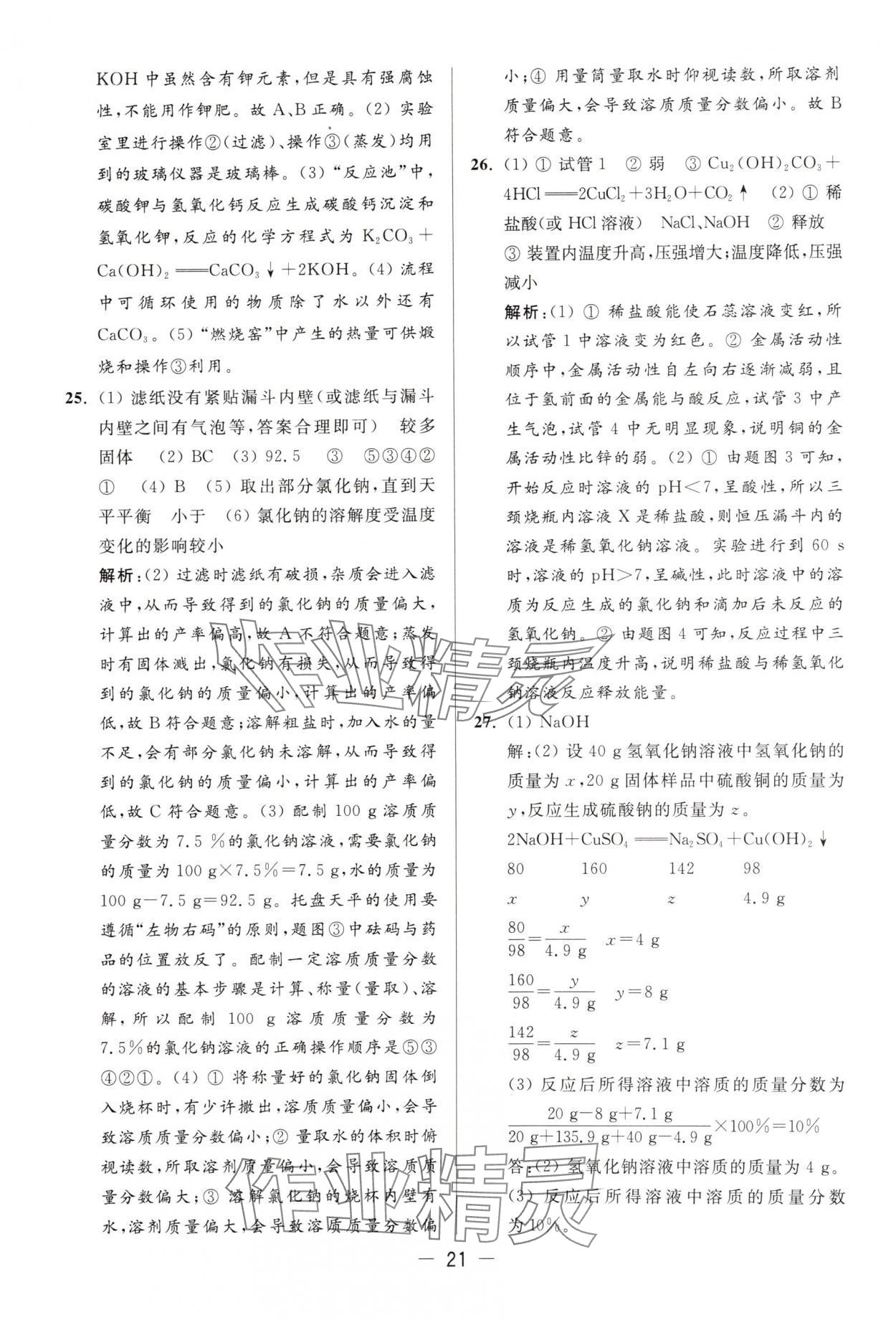 2025年亮点给力大试卷九年级化学下册沪教版 第21页