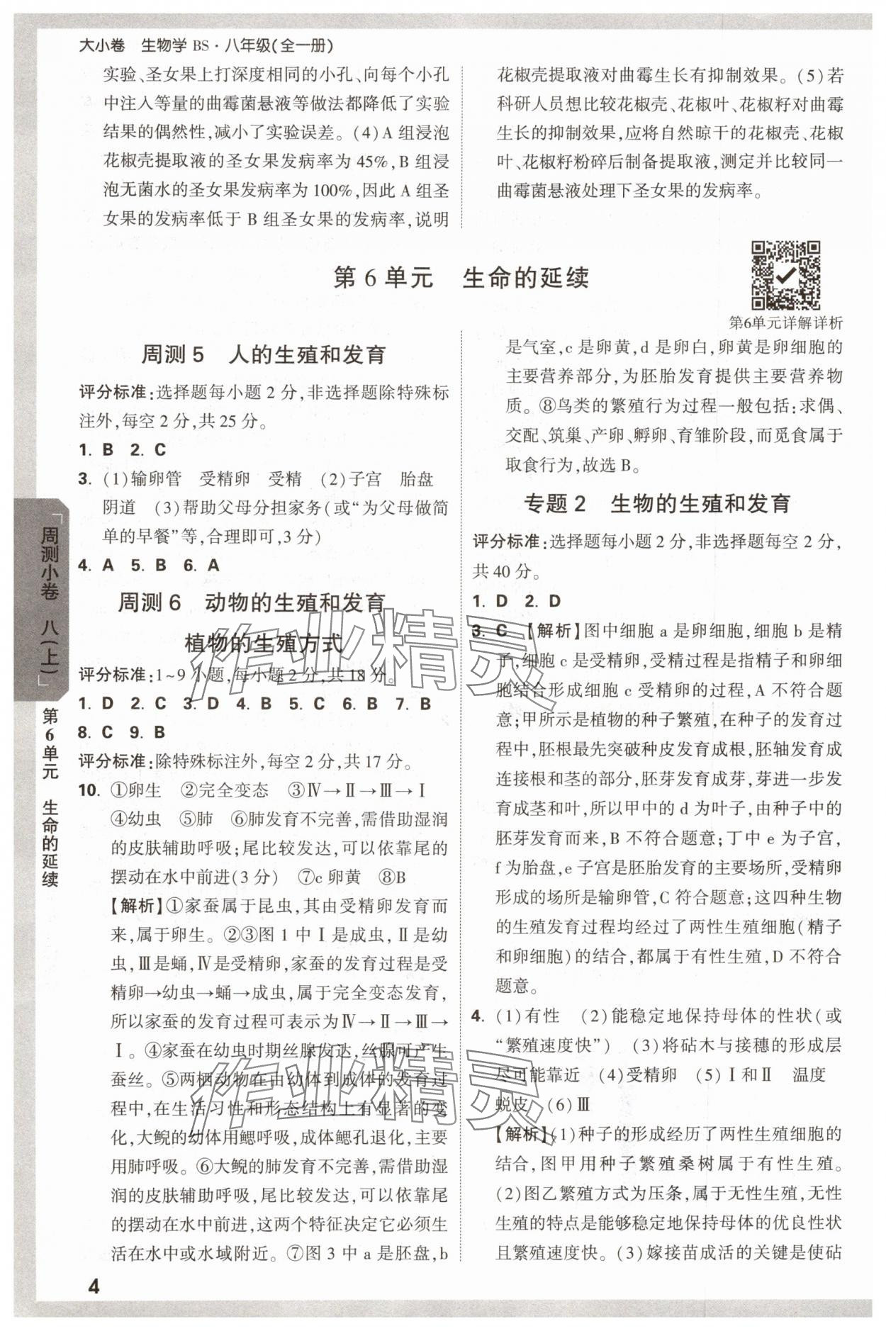 2025年萬唯中考大小卷八年級生物全一冊北師大版 參考答案第4頁