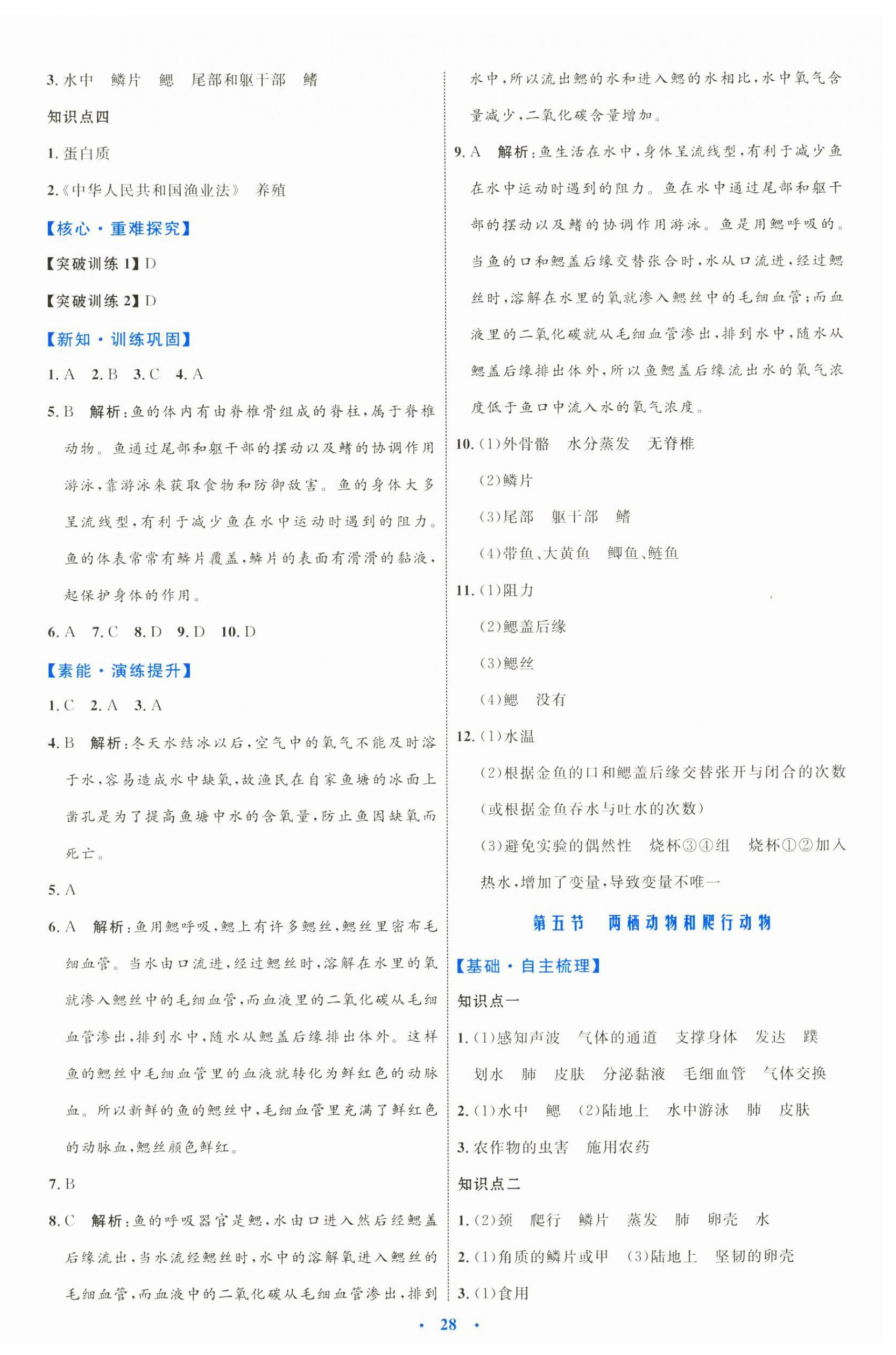 2024年同步學(xué)習(xí)目標(biāo)與檢測八年級生物上冊人教版 第4頁