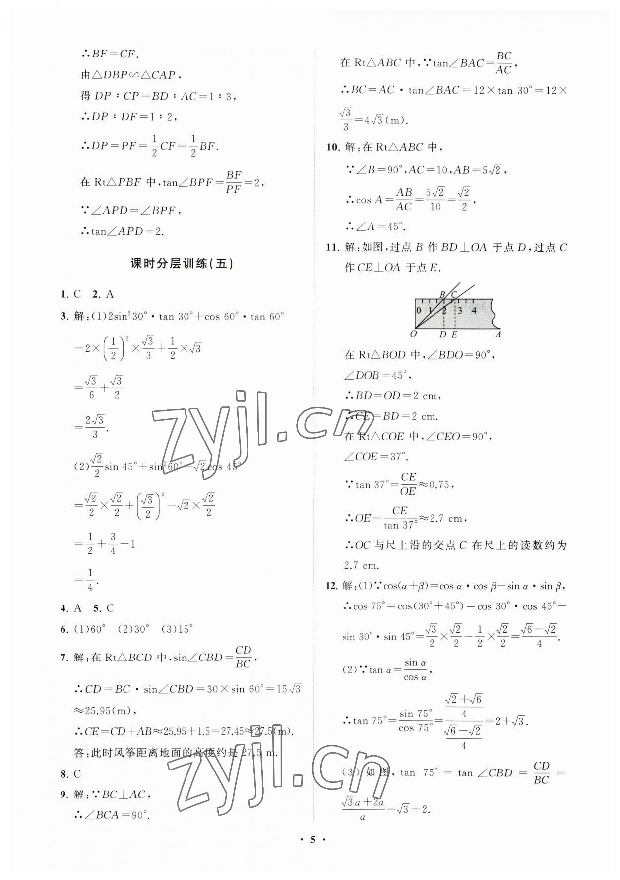 2023年同步練習冊分層卷九年級數(shù)學上冊魯教版54制 參考答案第5頁