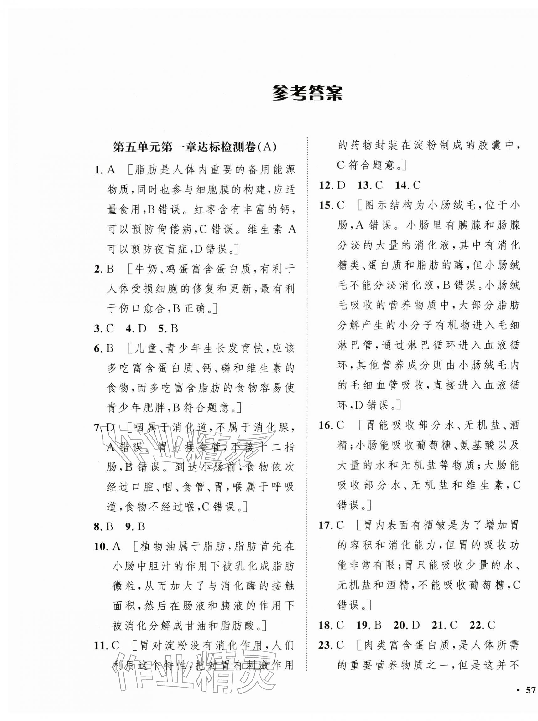 2025年一课三练单元测试八年级生物上册济南版 第1页