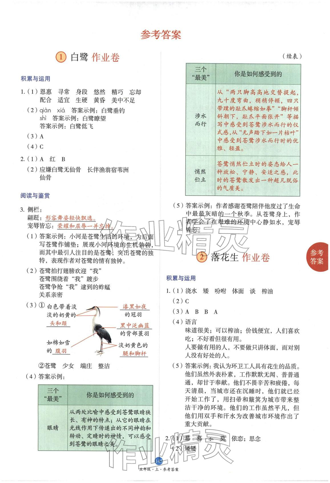 2025年小學(xué)生繪本課堂五年級(jí)語(yǔ)文上冊(cè)人教版&nbsp;第1頁(yè)