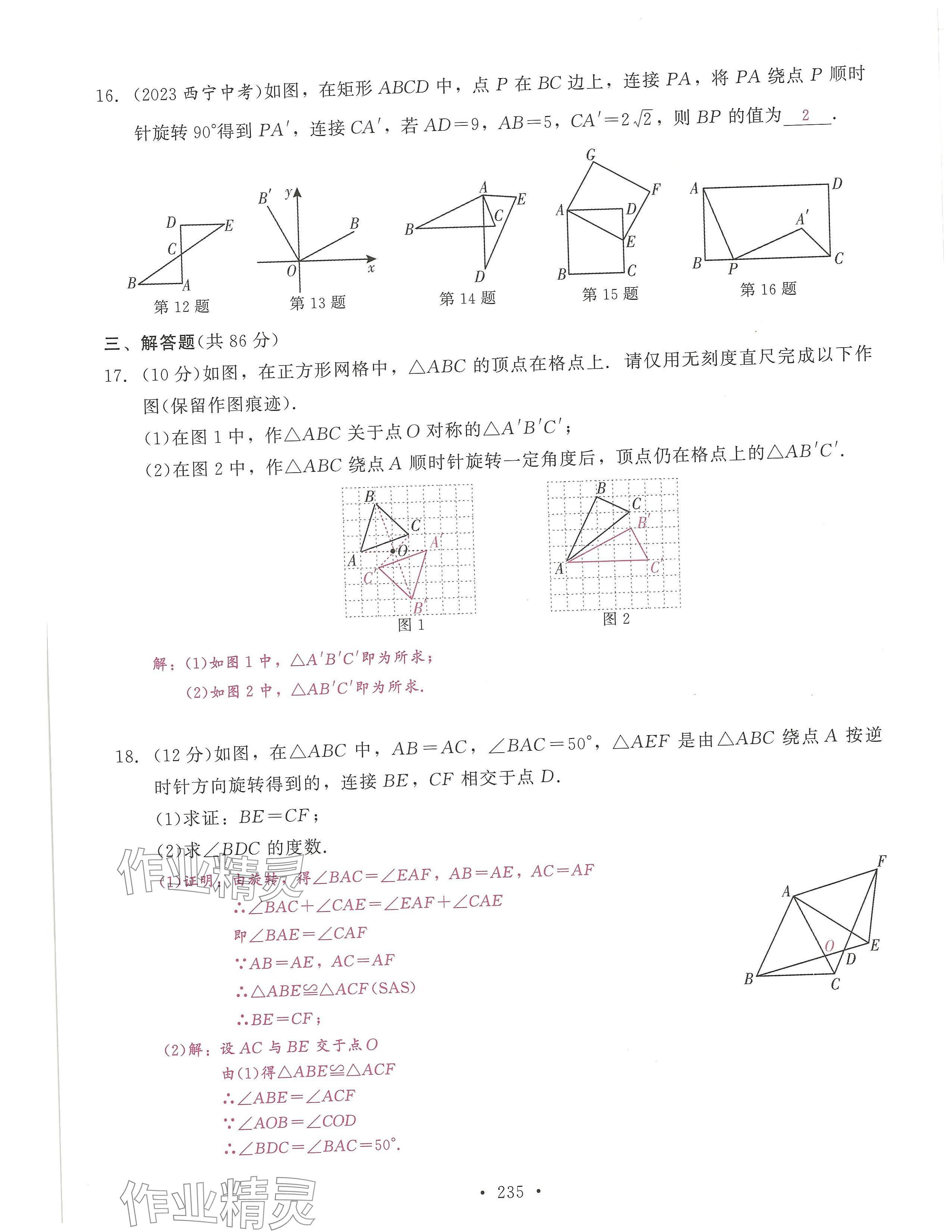 2024年活页过关练习西安出版社九年级数学上册人教版 第15页