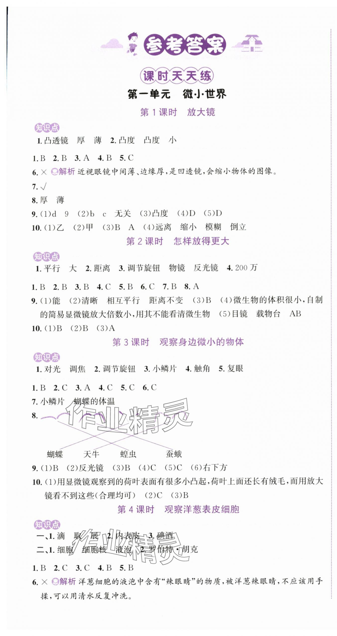 2025年奔跑吧少年六年级科学上册教科版 第1页