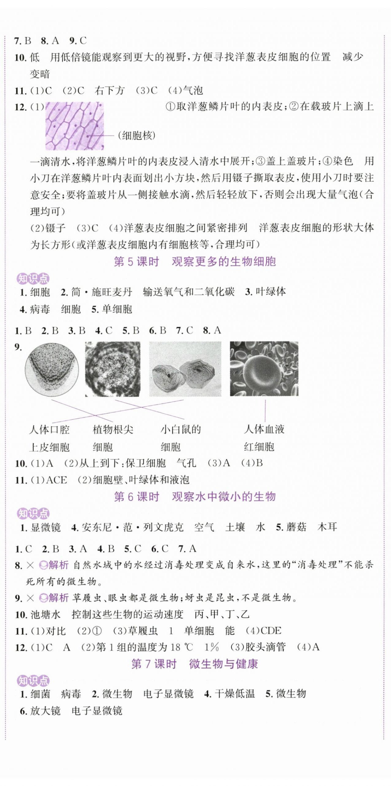 2025年奔跑吧少年六年级科学上册教科版 第2页