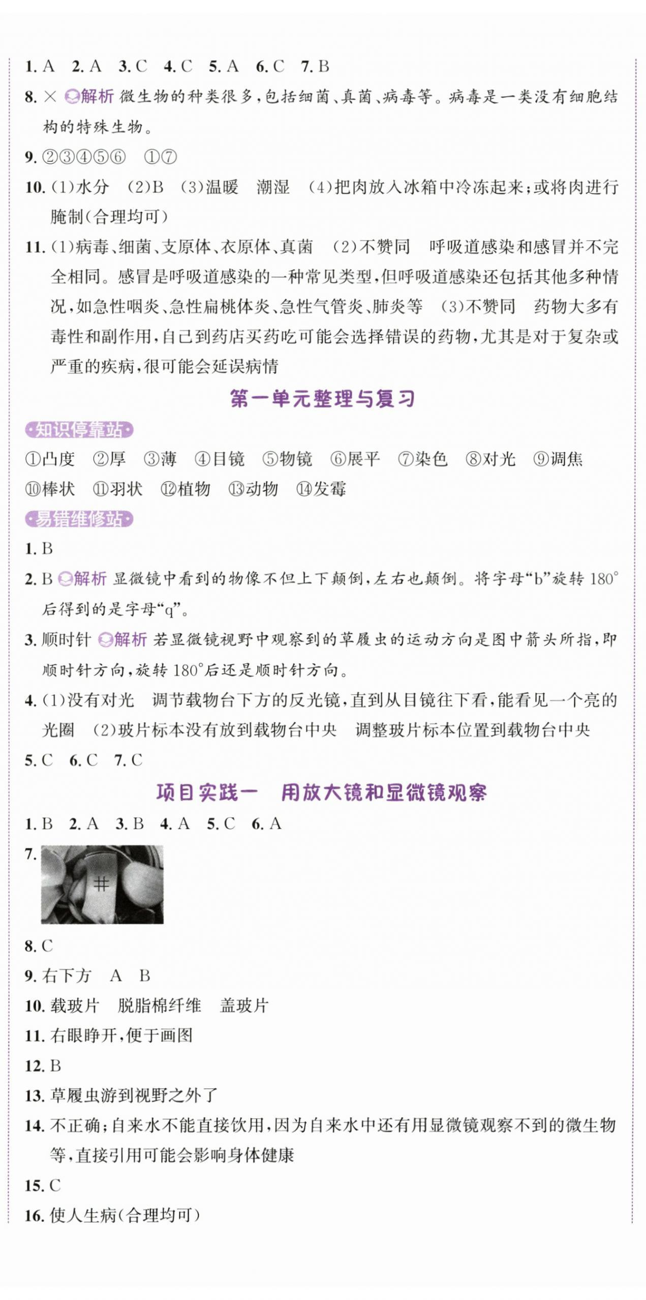 2025年奔跑吧少年六年級(jí)科學(xué)上冊教科版&nbsp;第3頁