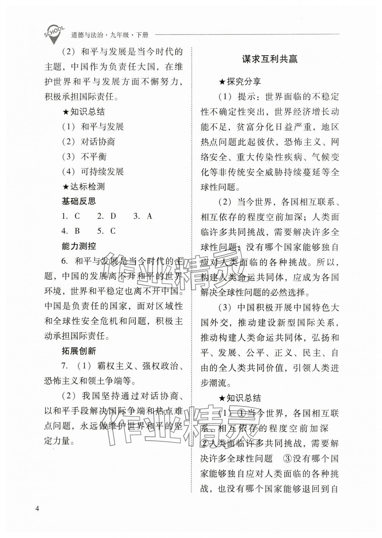 2025年新课程问题解决导学方案九年级道德与法治下册人教版 参考答案第4页