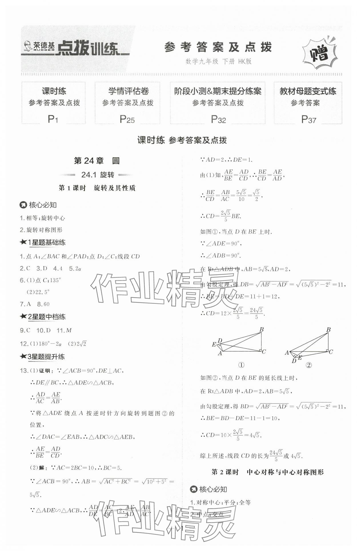 2025年点拨训练九年级数学下册沪科版安徽专版 第1页