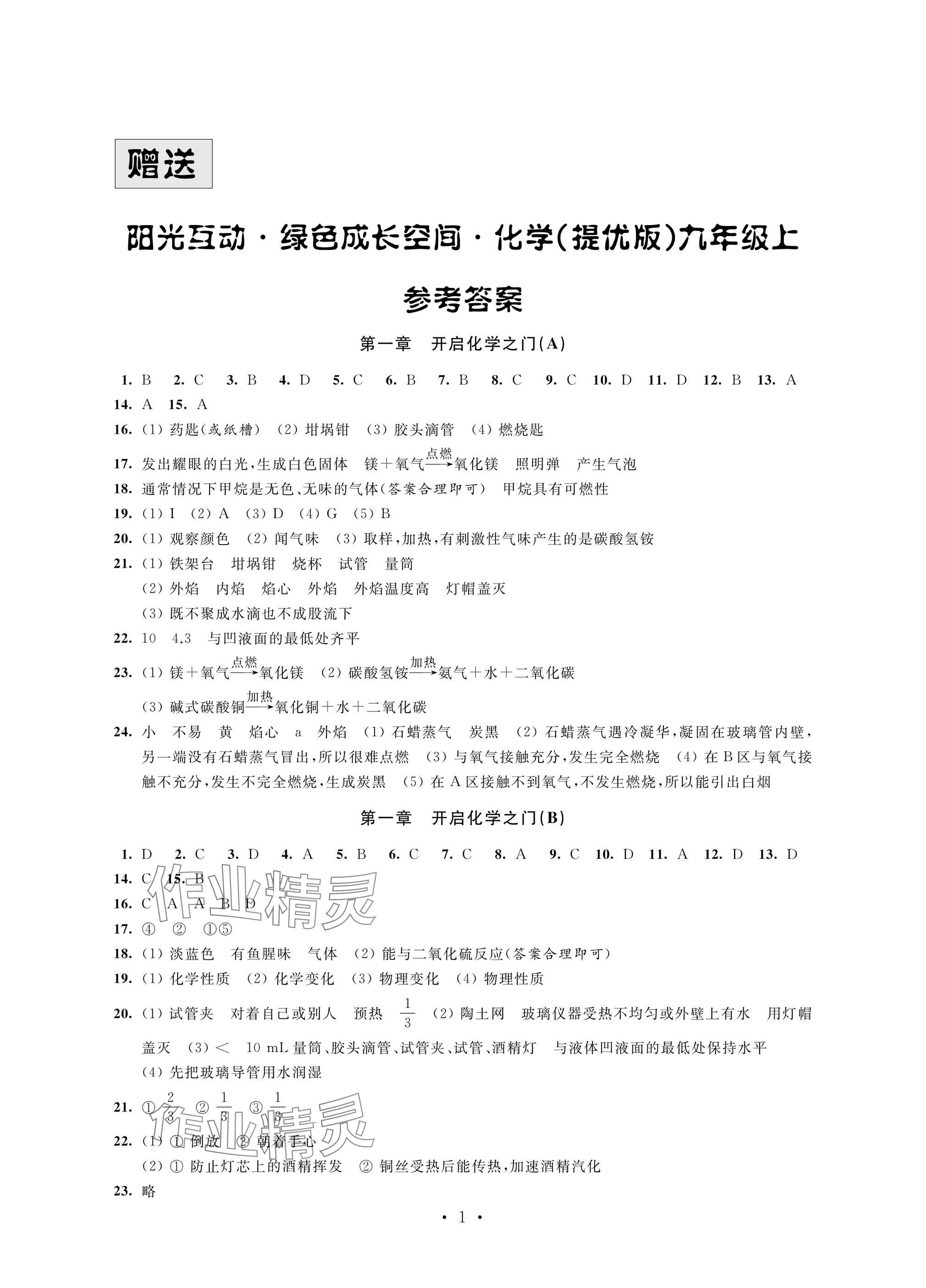 2024年阳光互动绿色成长空间九年级化学上册提优版 参考答案第1页