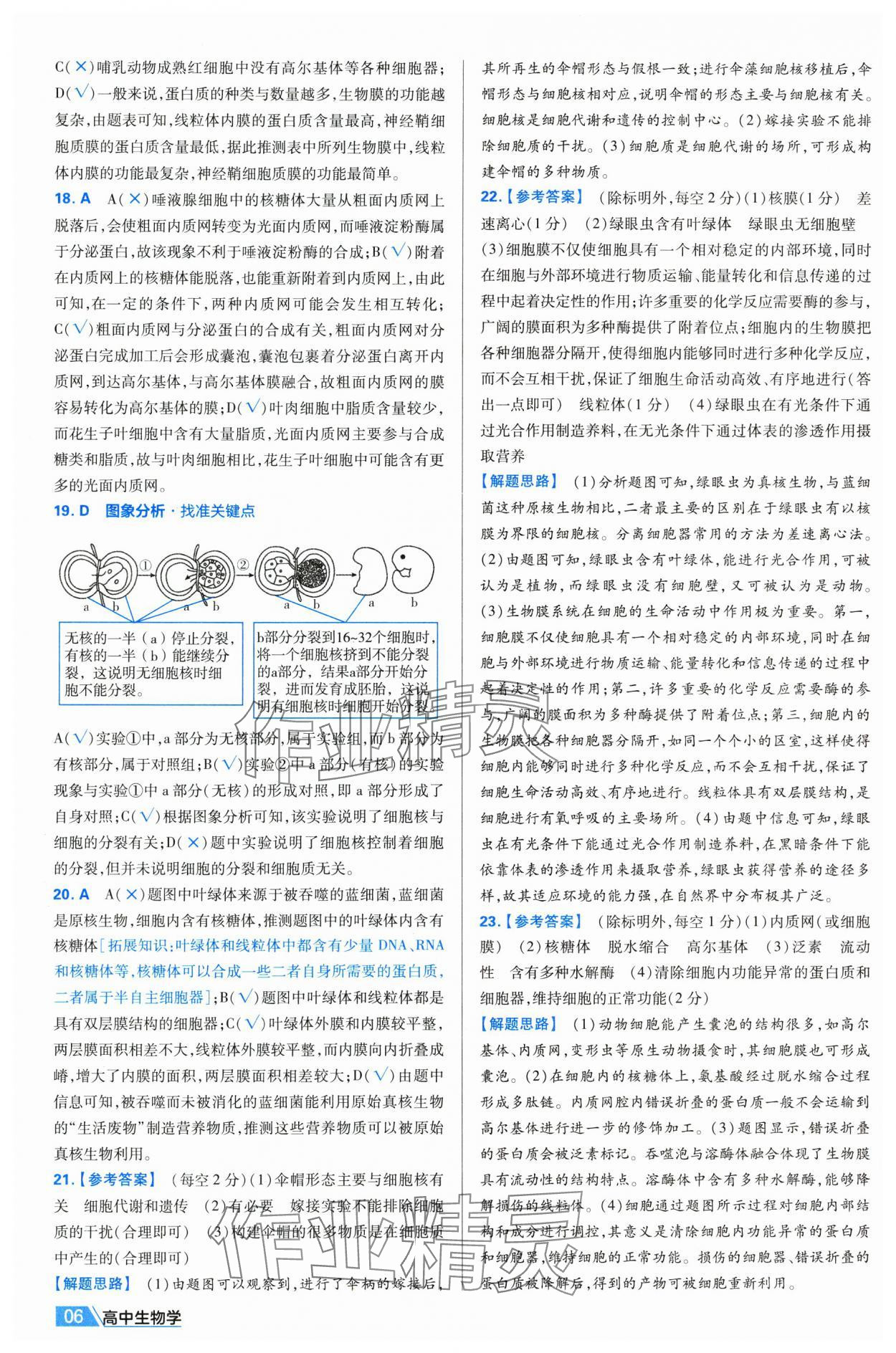 2025年金考卷名師名題單元雙測卷高中生物必修1人教版 第6頁
