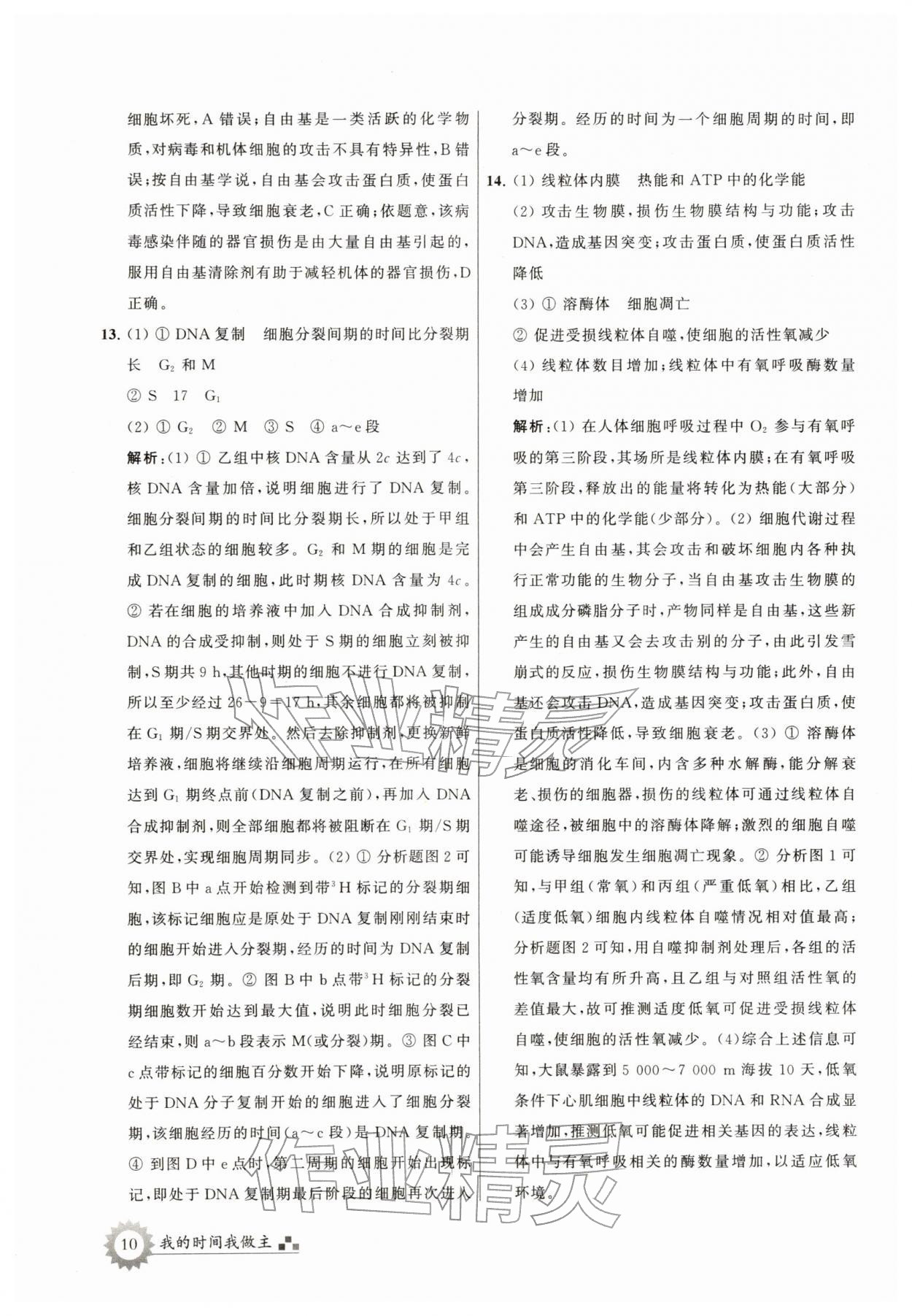 2026年最高考寒假作業(yè)高三生物&nbsp;第10頁(yè)