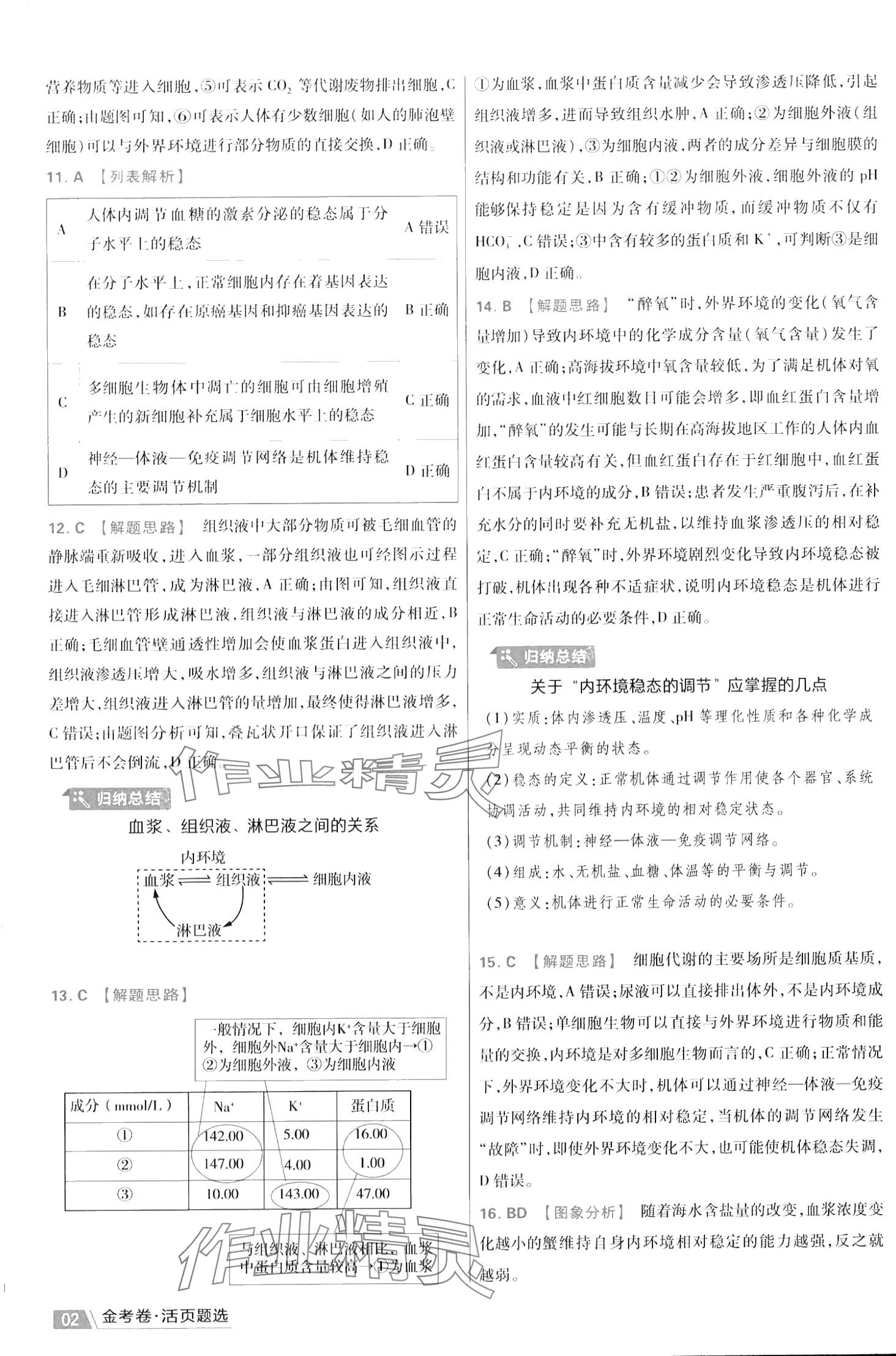 2024年金考卷活頁題選高中生物選擇性必修1人教版 第4頁