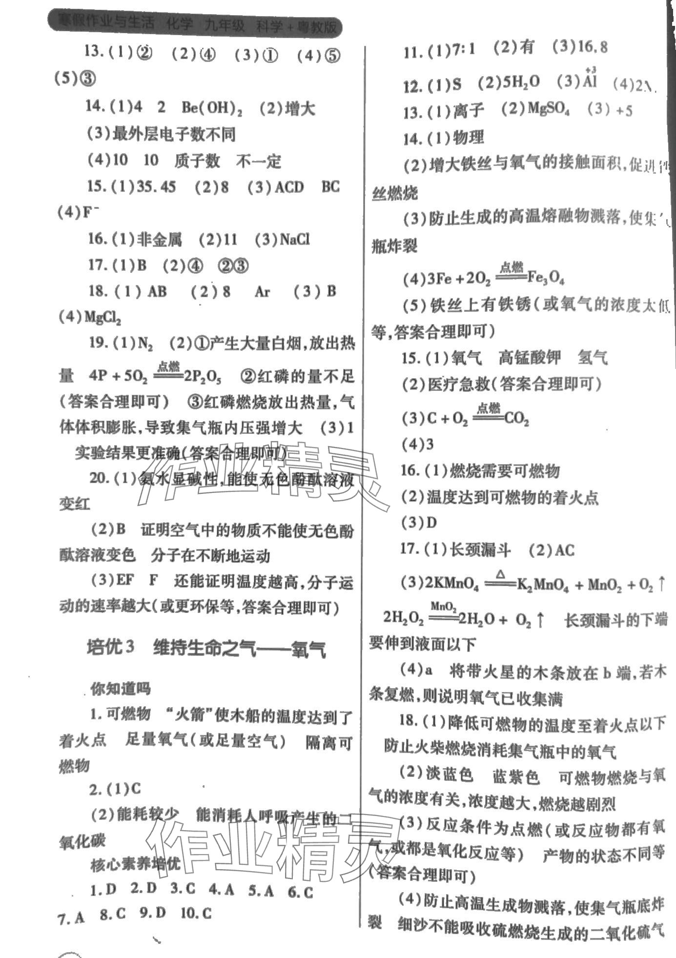 2024年寒假作业与生活陕西师范大学出版总社九年级化学科粤版 第2页