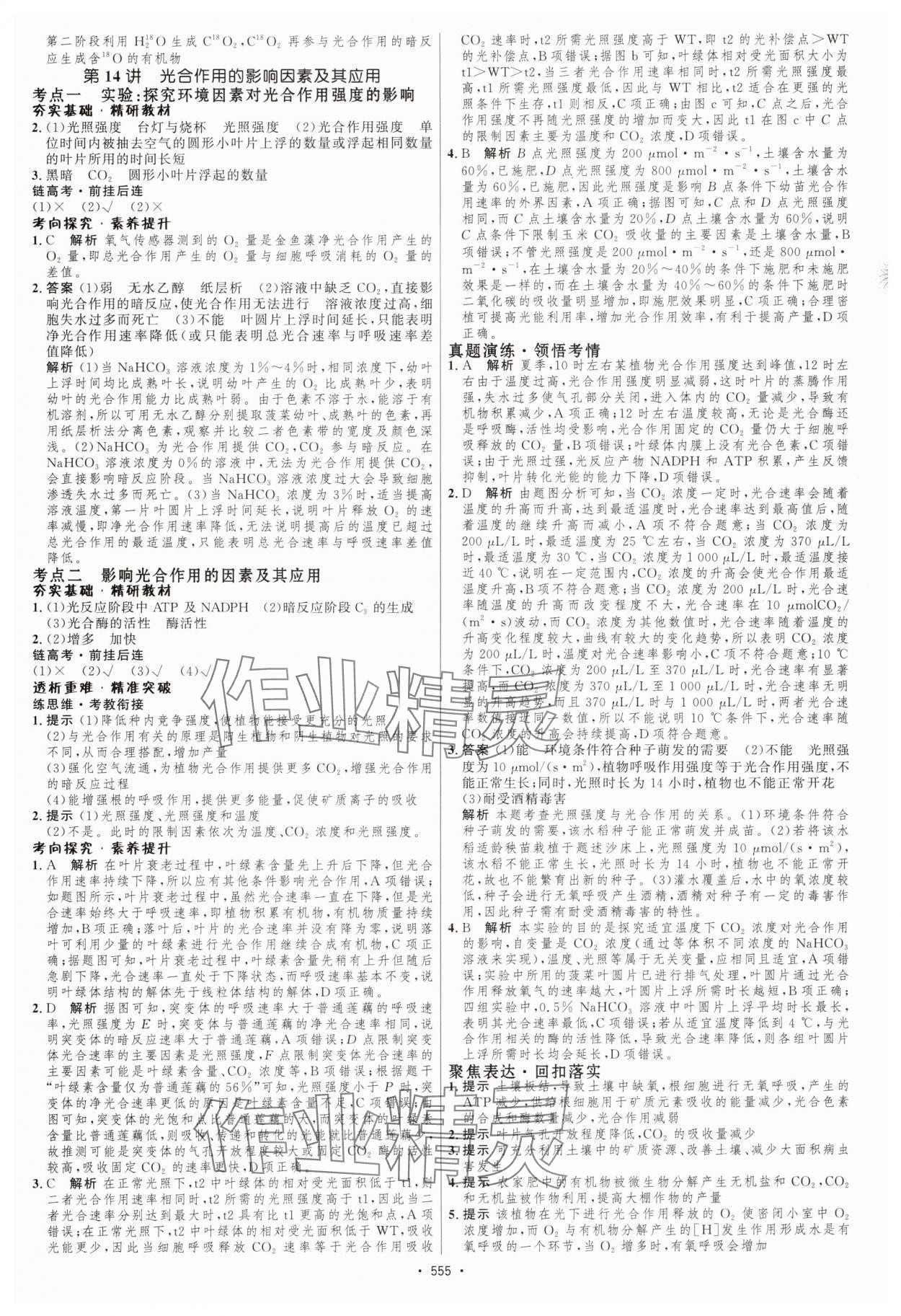 2025年高考總復(fù)習(xí)優(yōu)化設(shè)計(jì)高中生物人教版 第13頁