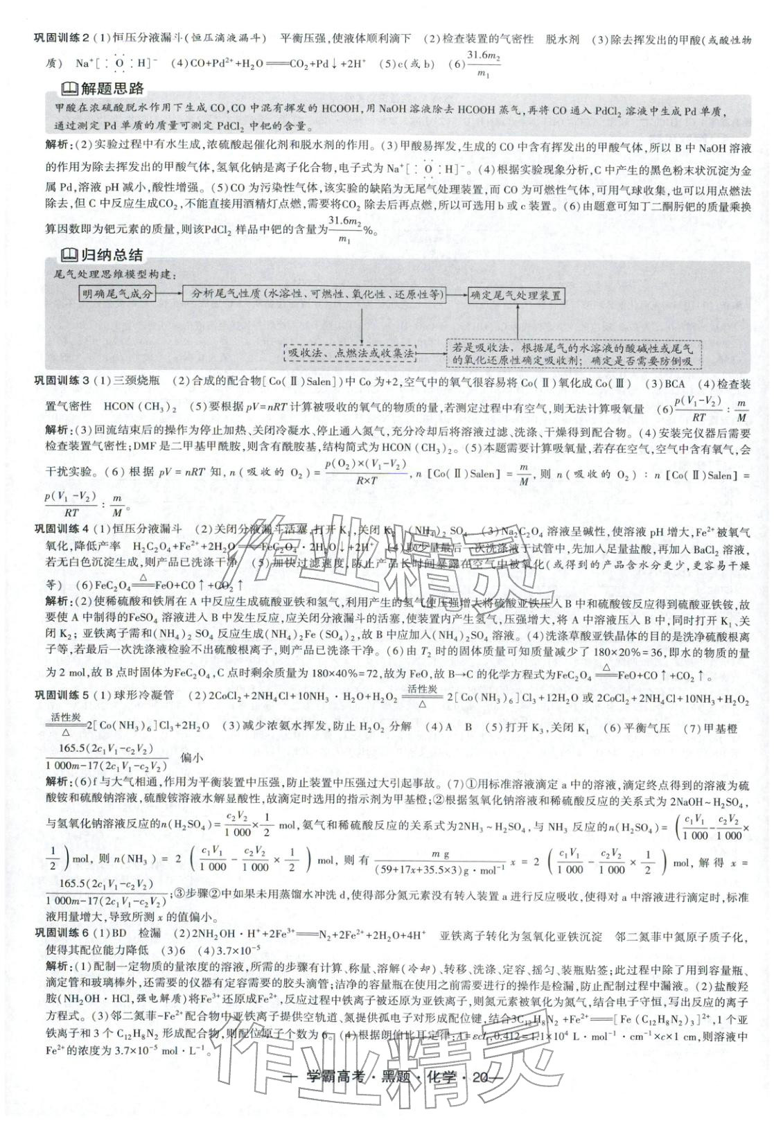 2025年学霸高考黑题化学人教版 参考答案第20页