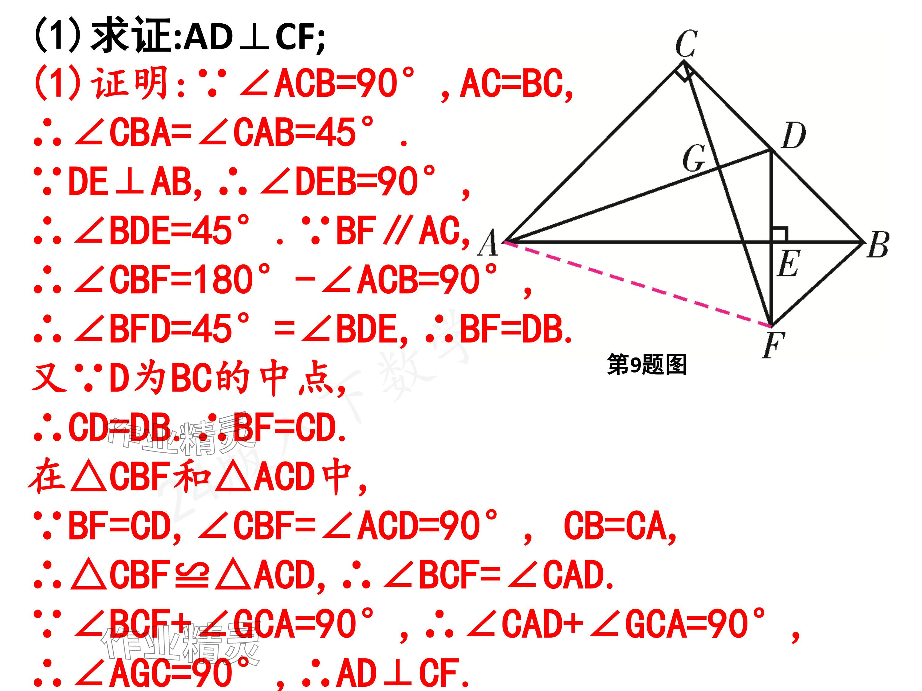 2024年一本通武漢出版社八年級數(shù)學(xué)下冊北師大版核心板 參考答案第46頁