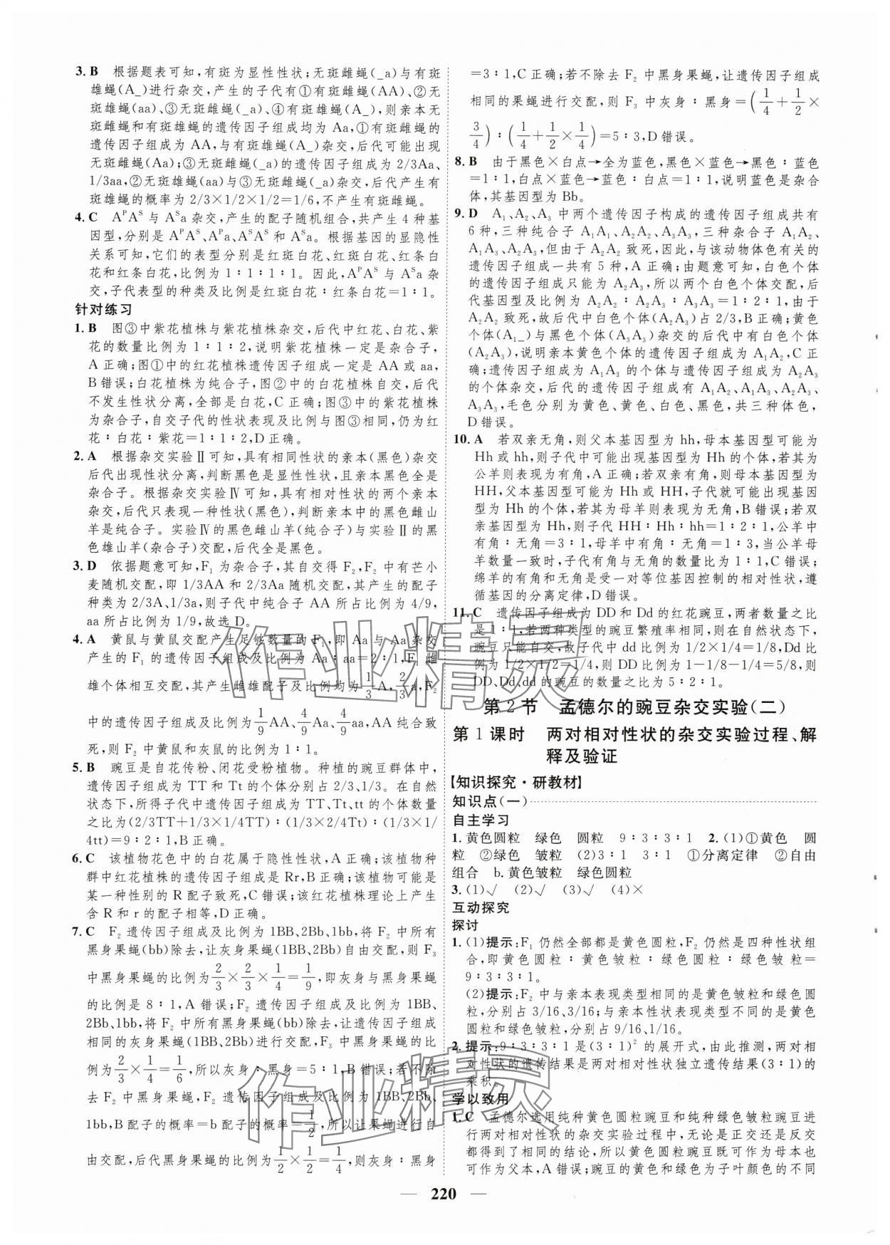 2024年三維設(shè)計(jì)生物必修2遺傳與進(jìn)化 參考答案第4頁