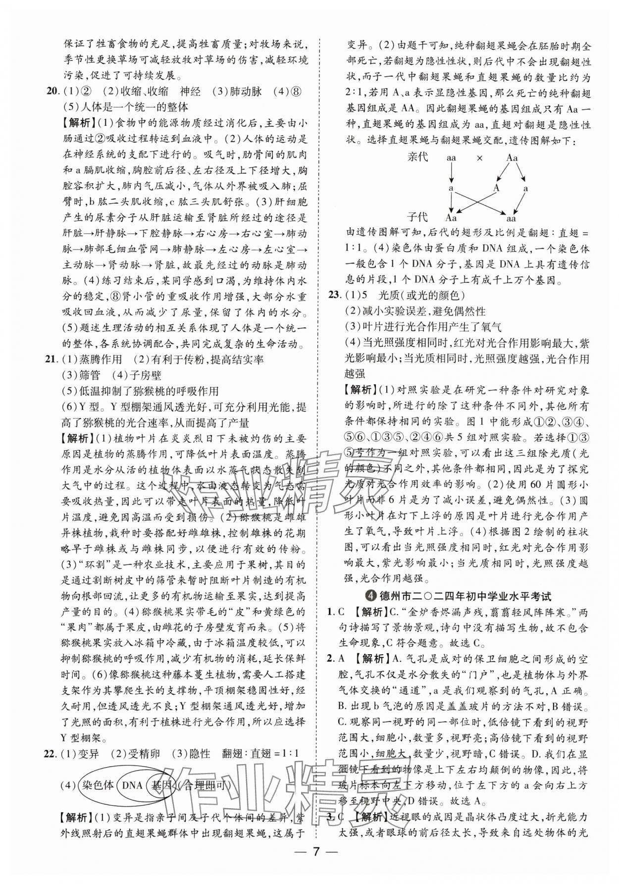 2025年鲁人泰斗中考必备中考试题汇编生物中考山东专版&nbsp;参考答案第7页
