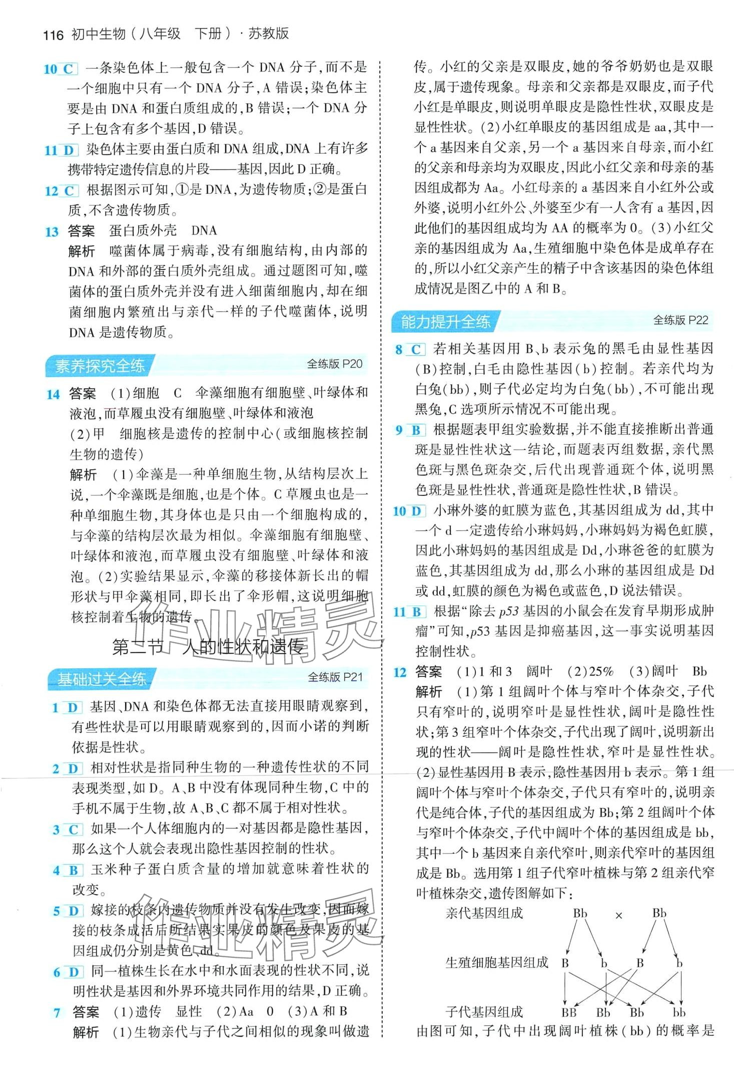 2024年5年中考3年模擬八年級(jí)生物下冊(cè)蘇教版 第6頁