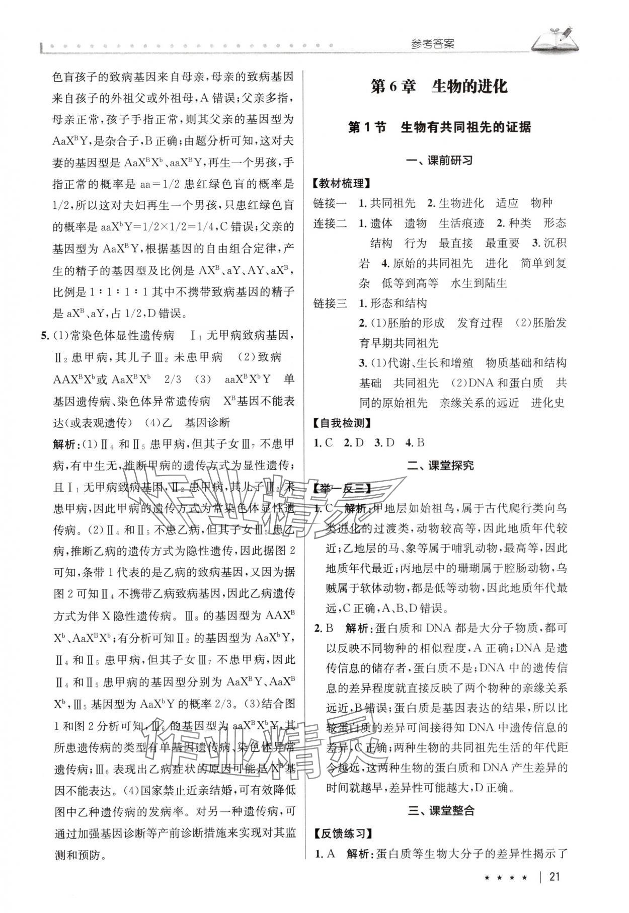 2025年墨池新學堂高中生物必修2人教版 參考答案第21頁