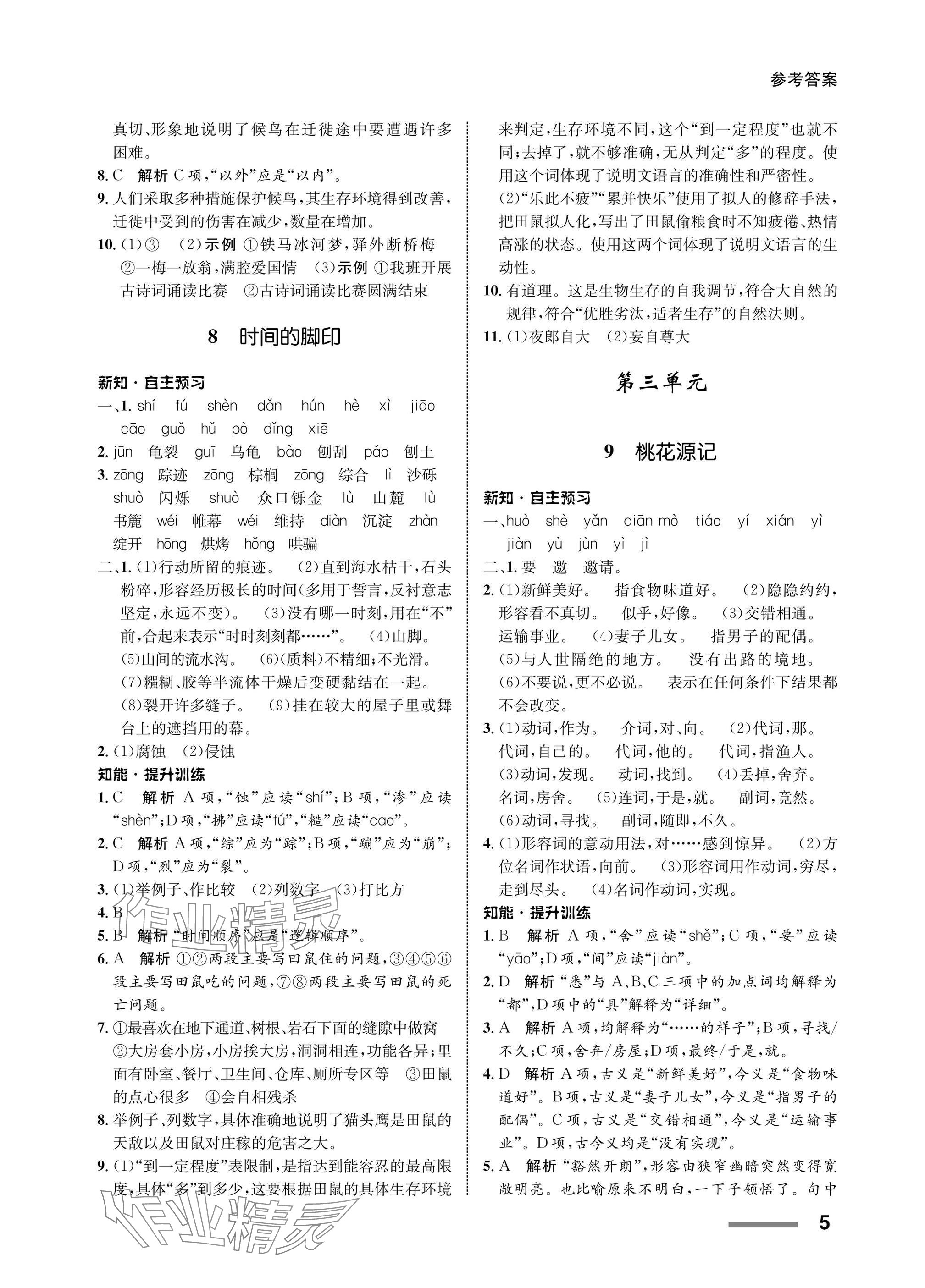 2025年配套综合练习甘肃八年级语文下册人教版 参考答案第5页