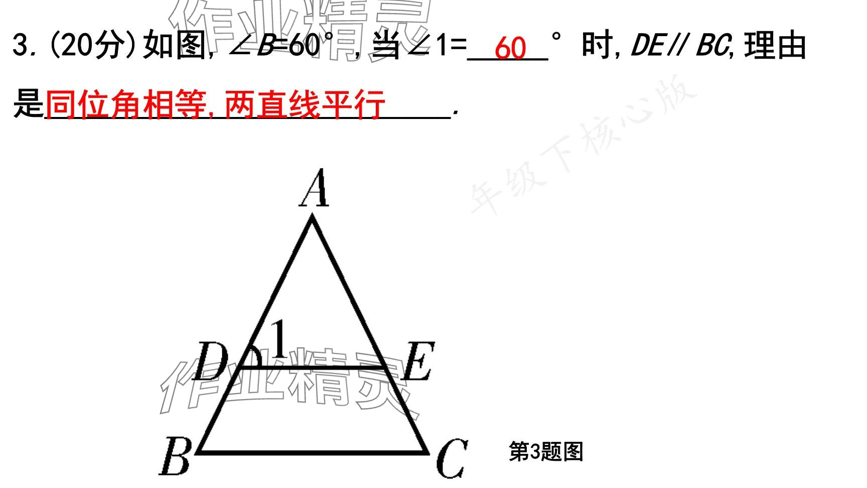 2025年一本通武漢出版社七年級(jí)數(shù)學(xué)下冊(cè)北師大版核心版 參考答案第56頁(yè)