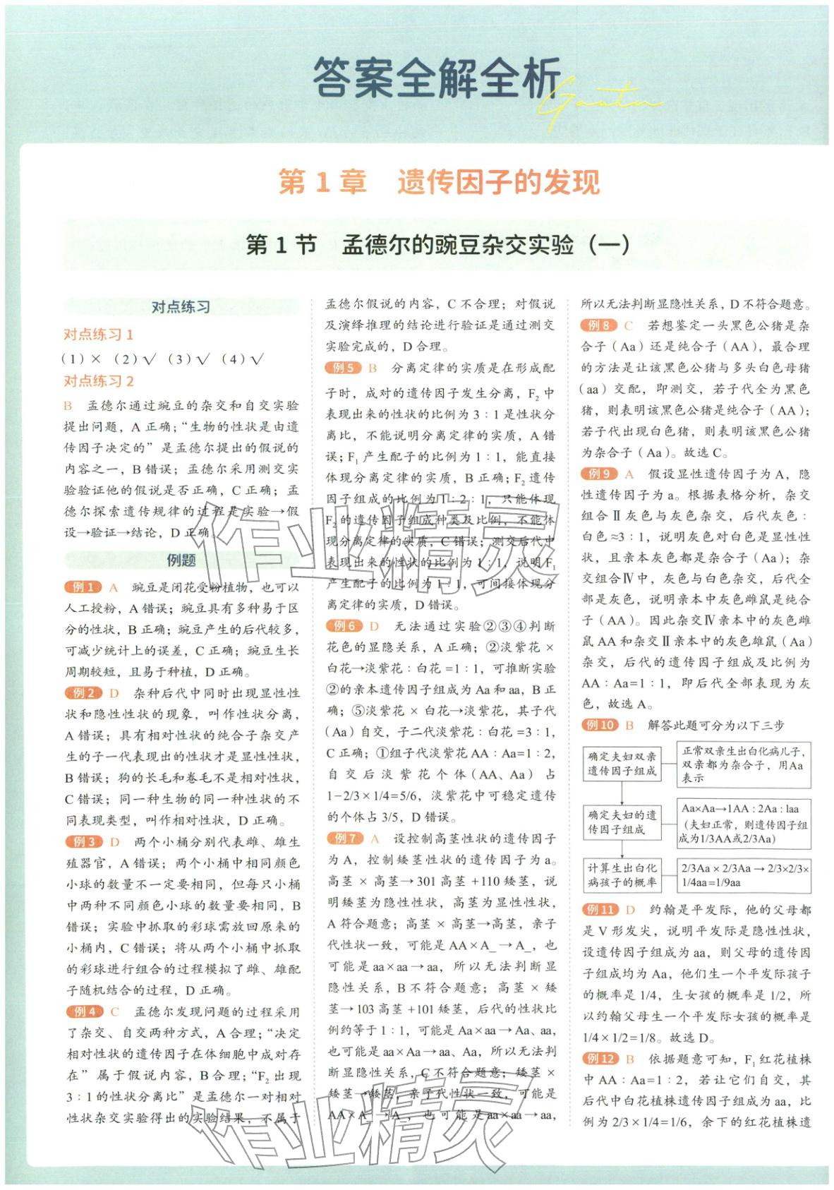 2026年从教材到考试高中生物必修第二册人教版&nbsp;第1页