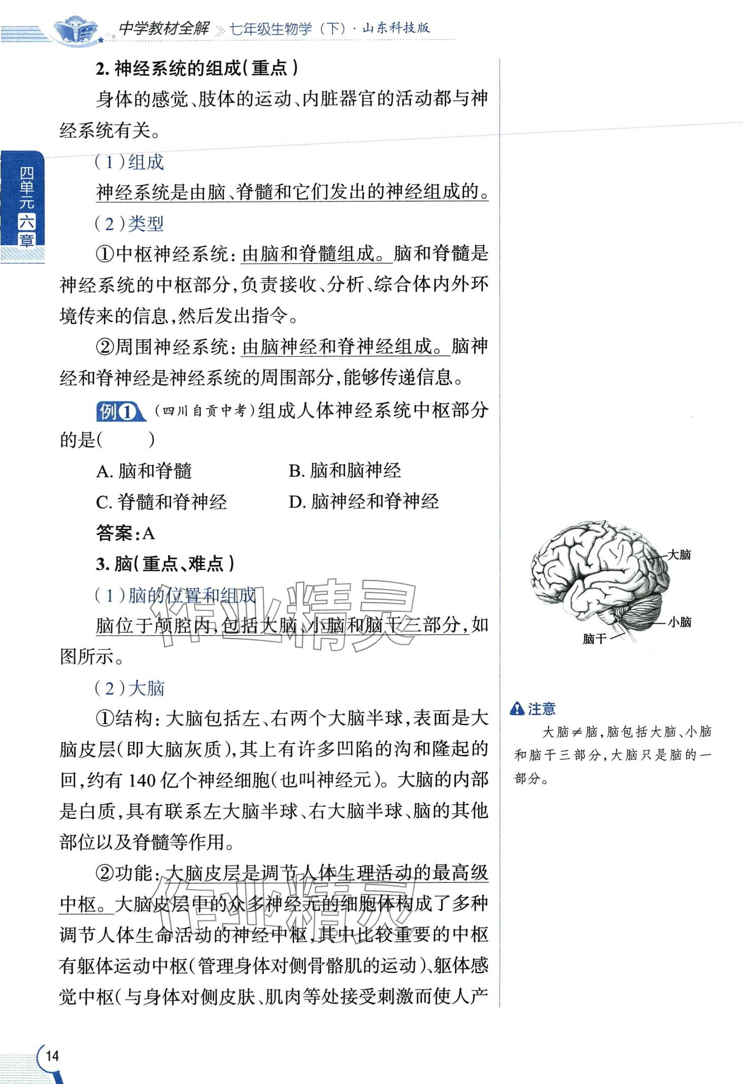 2024年教材课本七年级生物下册鲁科版&nbsp;第14页