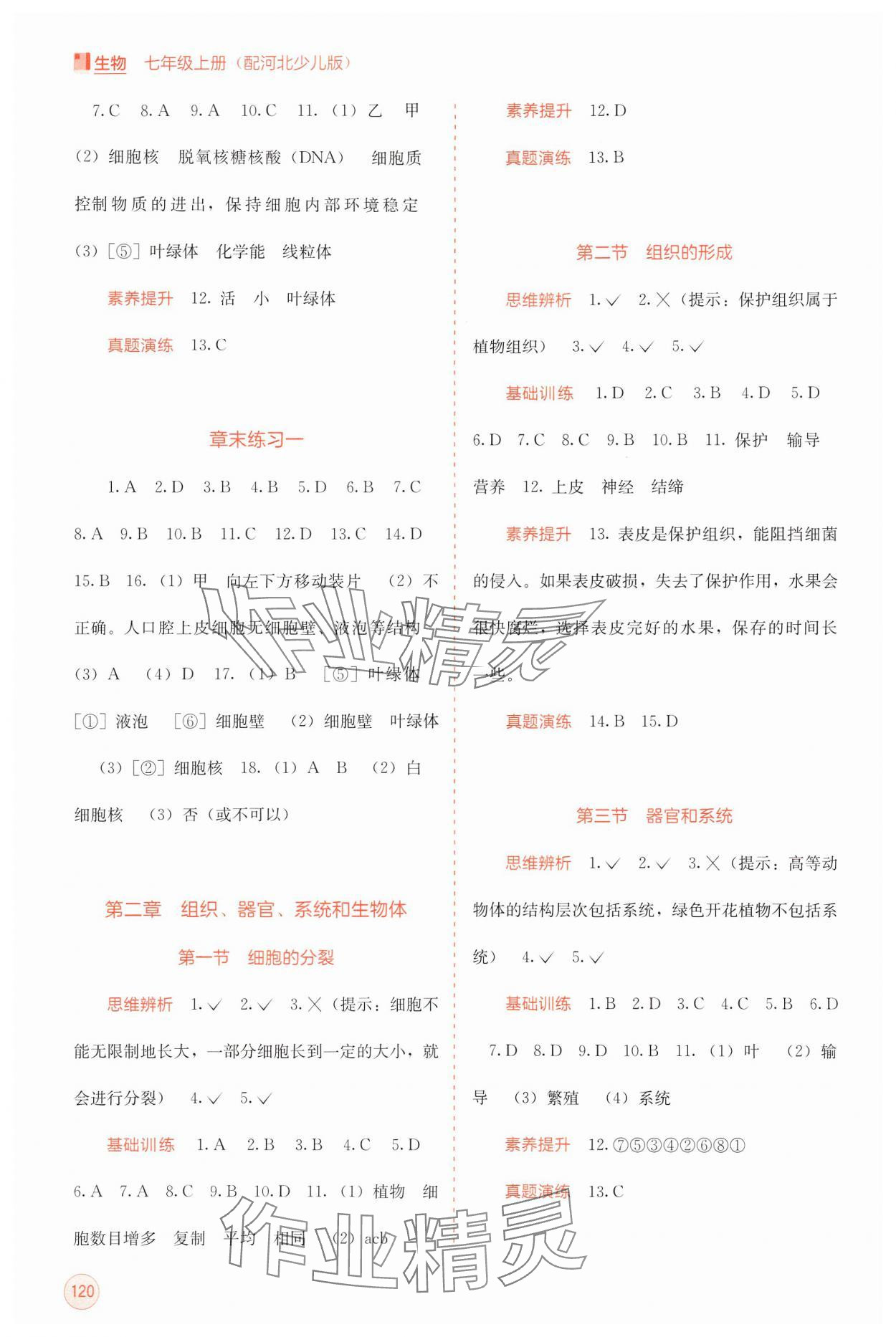 2024年自主学习能力测评七年级生物上册冀少版 第2页