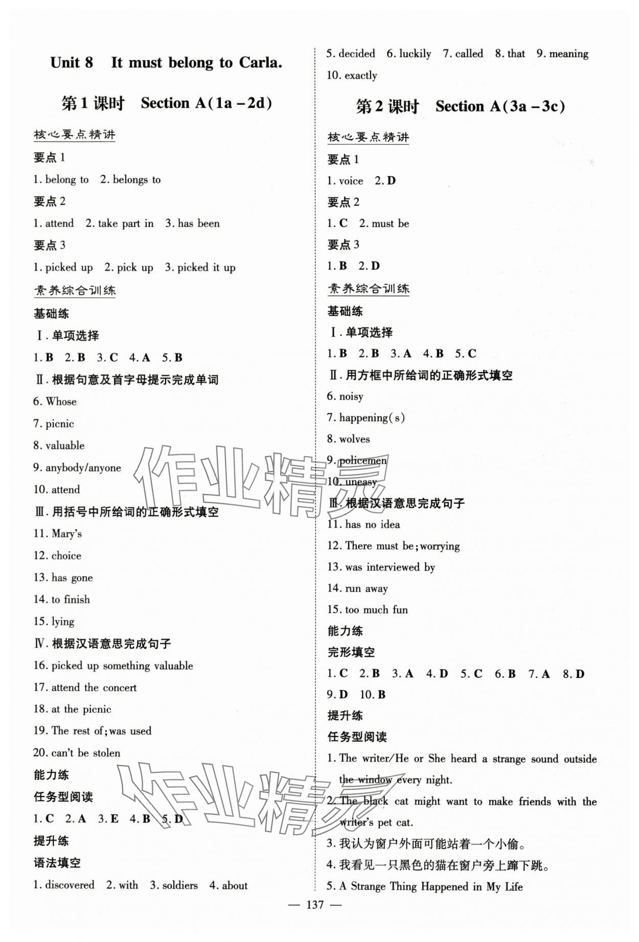 2024年初中同步學(xué)習(xí)導(dǎo)與練導(dǎo)學(xué)探究案九年級英語上冊人教版 第13頁