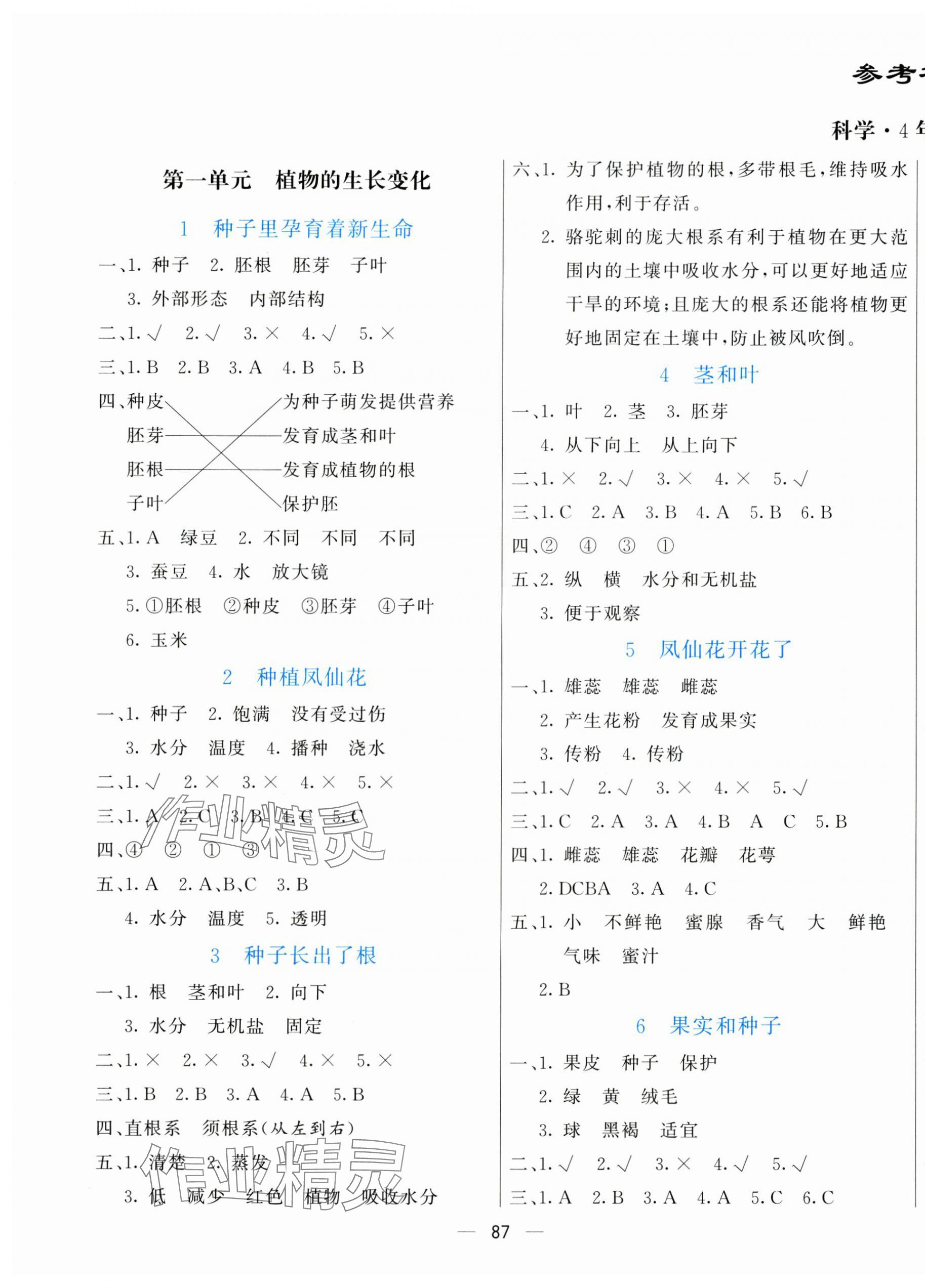 2025年亮點激活提優(yōu)天天練四年級科學下冊教科版 第1頁