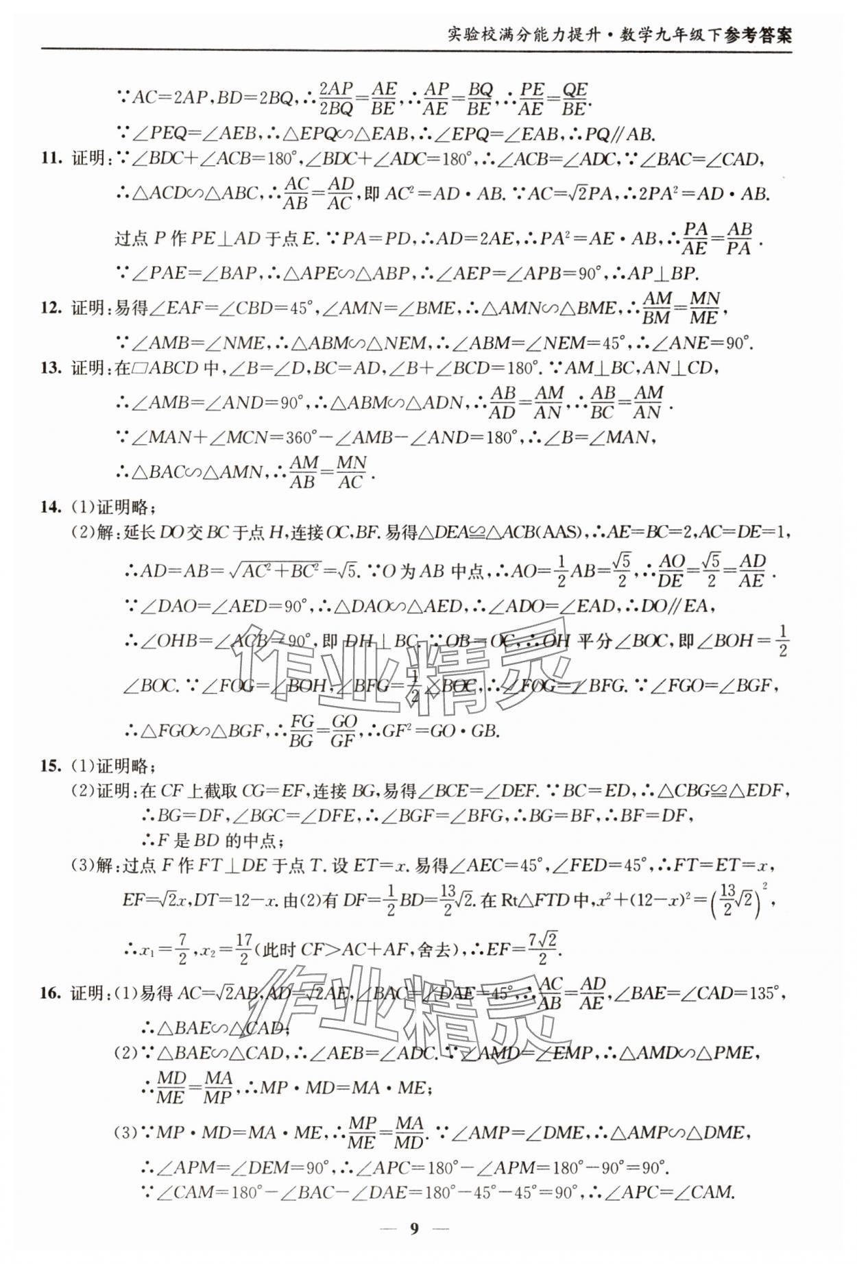 2025年實驗校滿分能力提升九年級數學下冊 第9頁