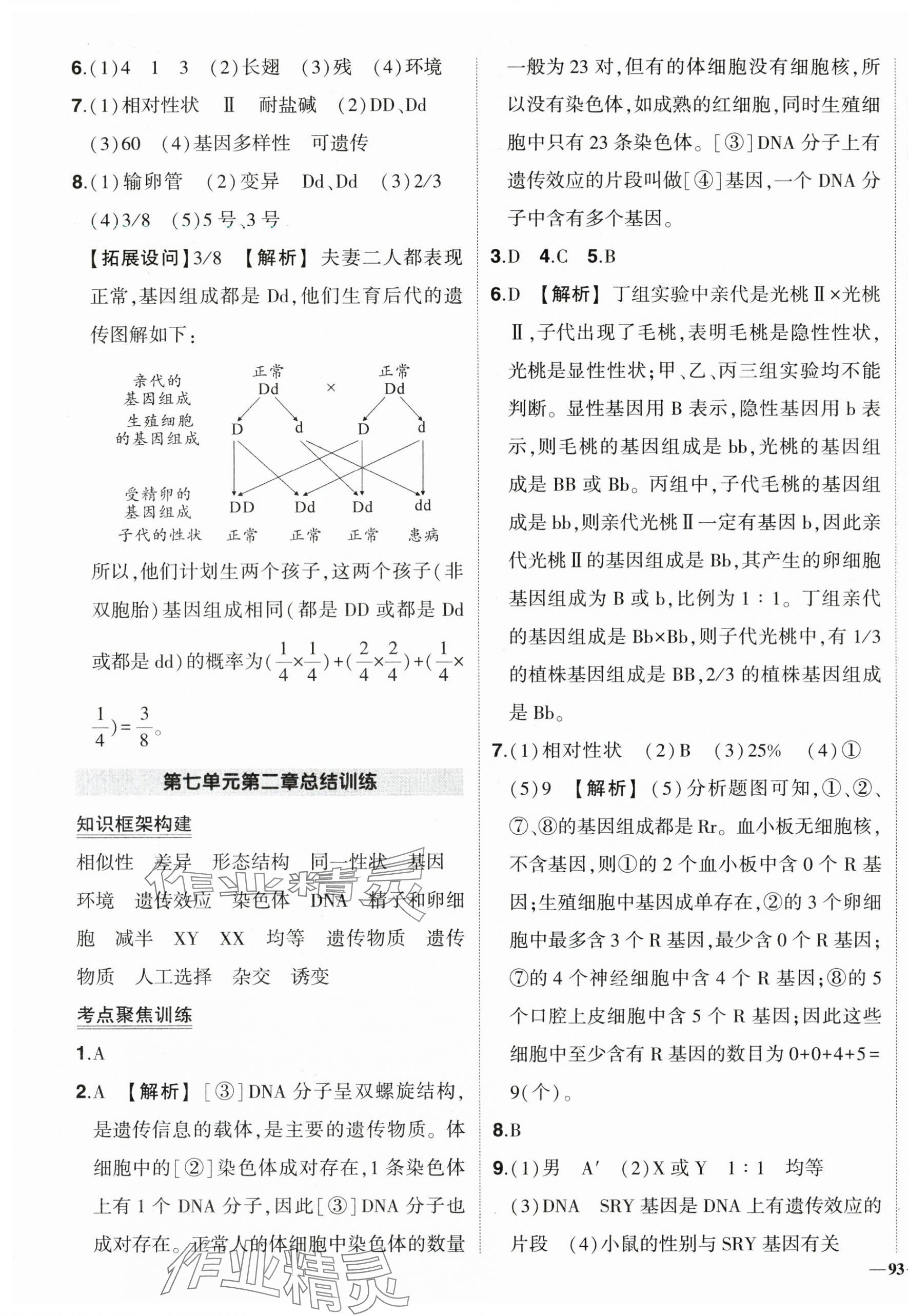 2024年狀元成才路創(chuàng)優(yōu)作業(yè)八年級生物下冊人教版 第7頁