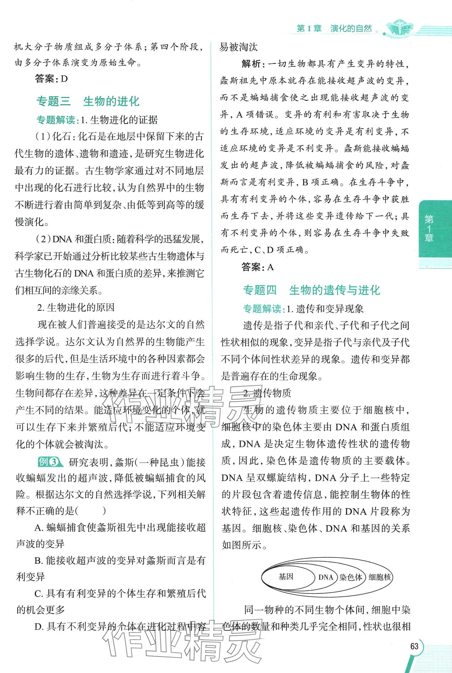 2024年教材全解九年級科學下冊浙教版 第63頁
