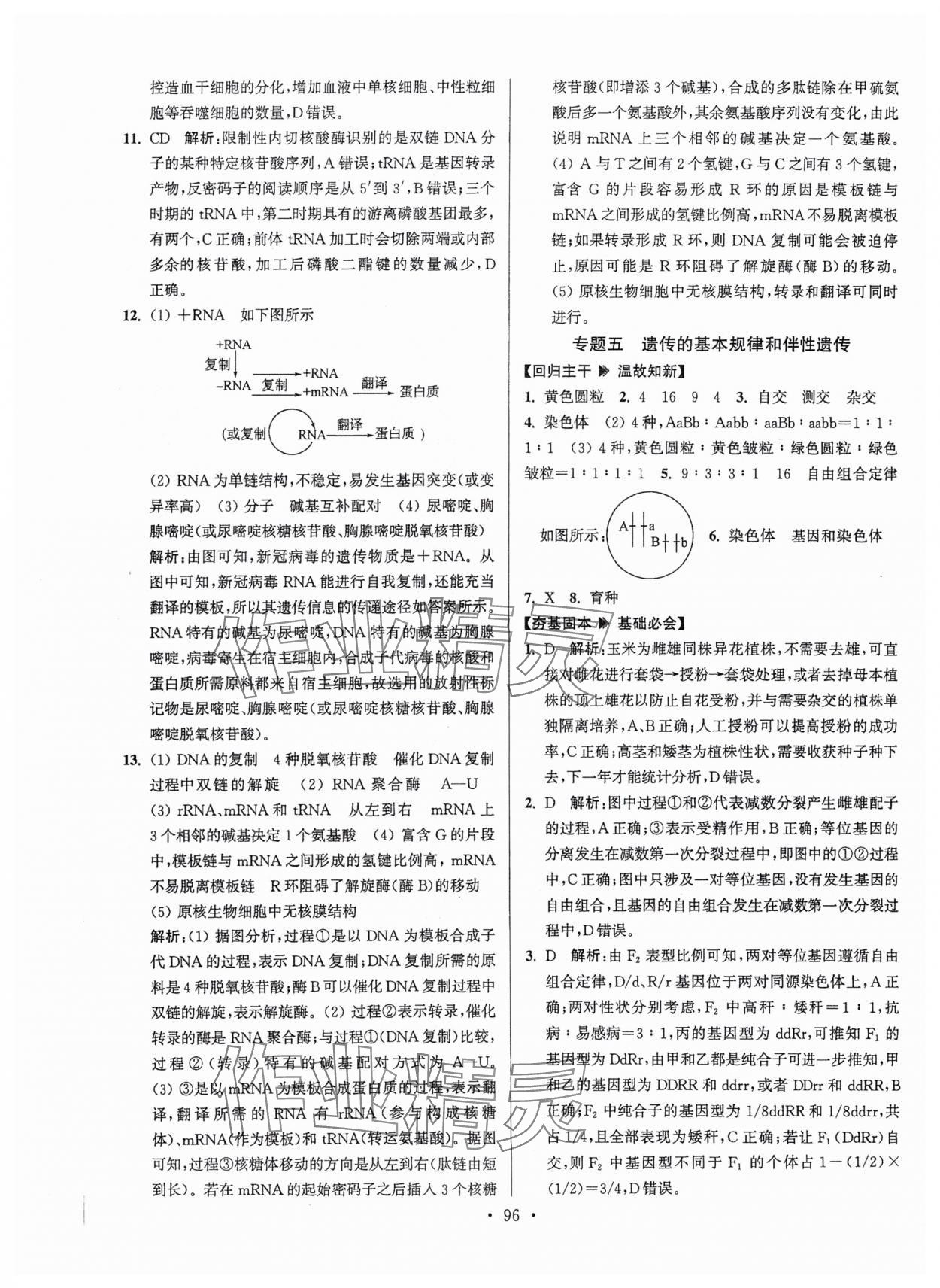 2025年假期之友東南大學(xué)出版社高二生物 第6頁