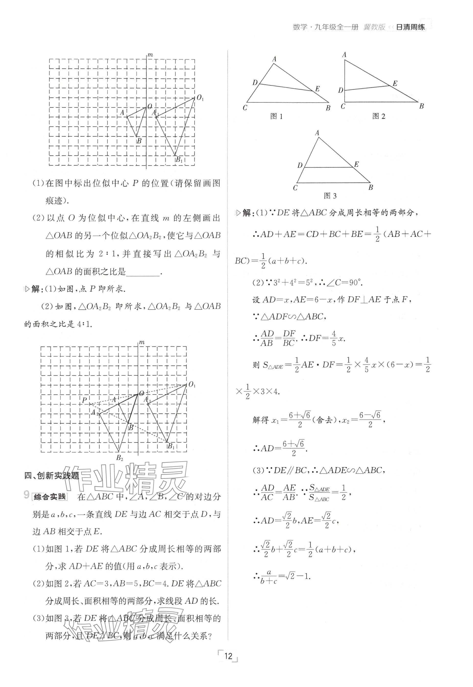 2024年日清周練九年級(jí)數(shù)學(xué)全一冊(cè)冀教版 參考答案第12頁(yè)