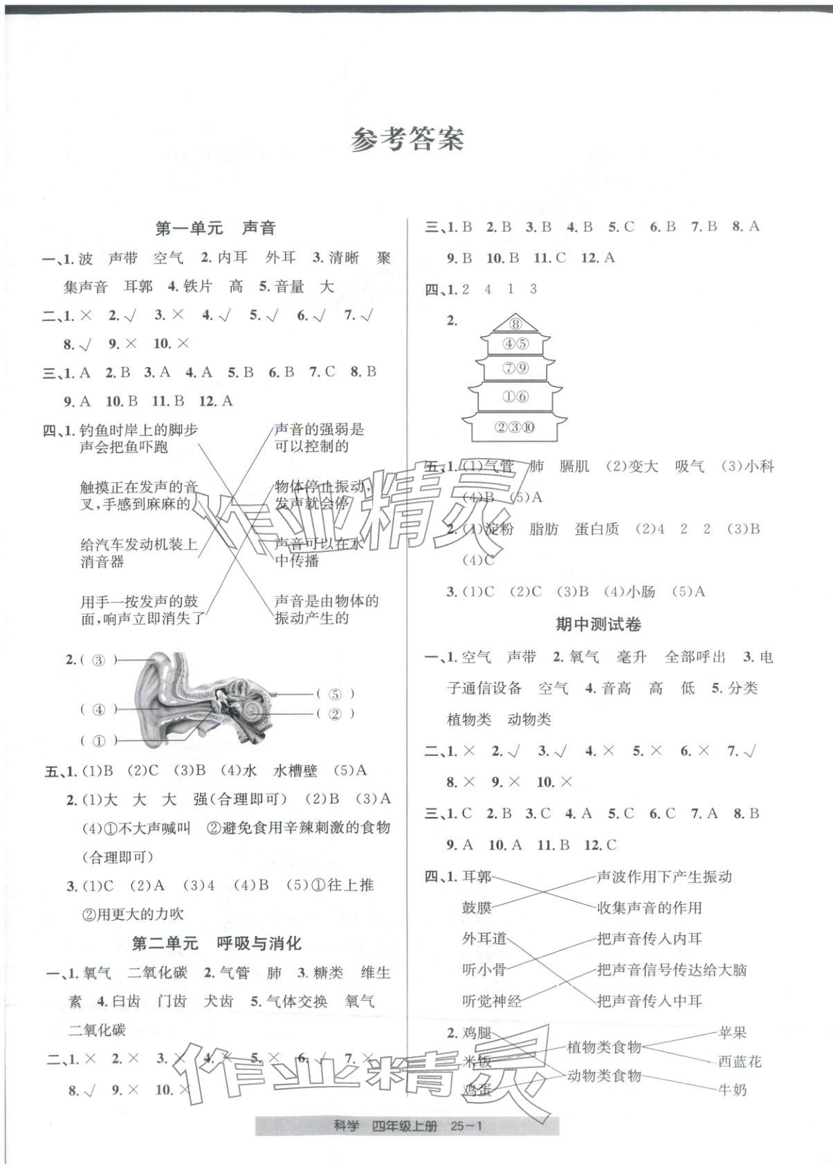 2025年期末直通车四年级科学上册教科版 第1页