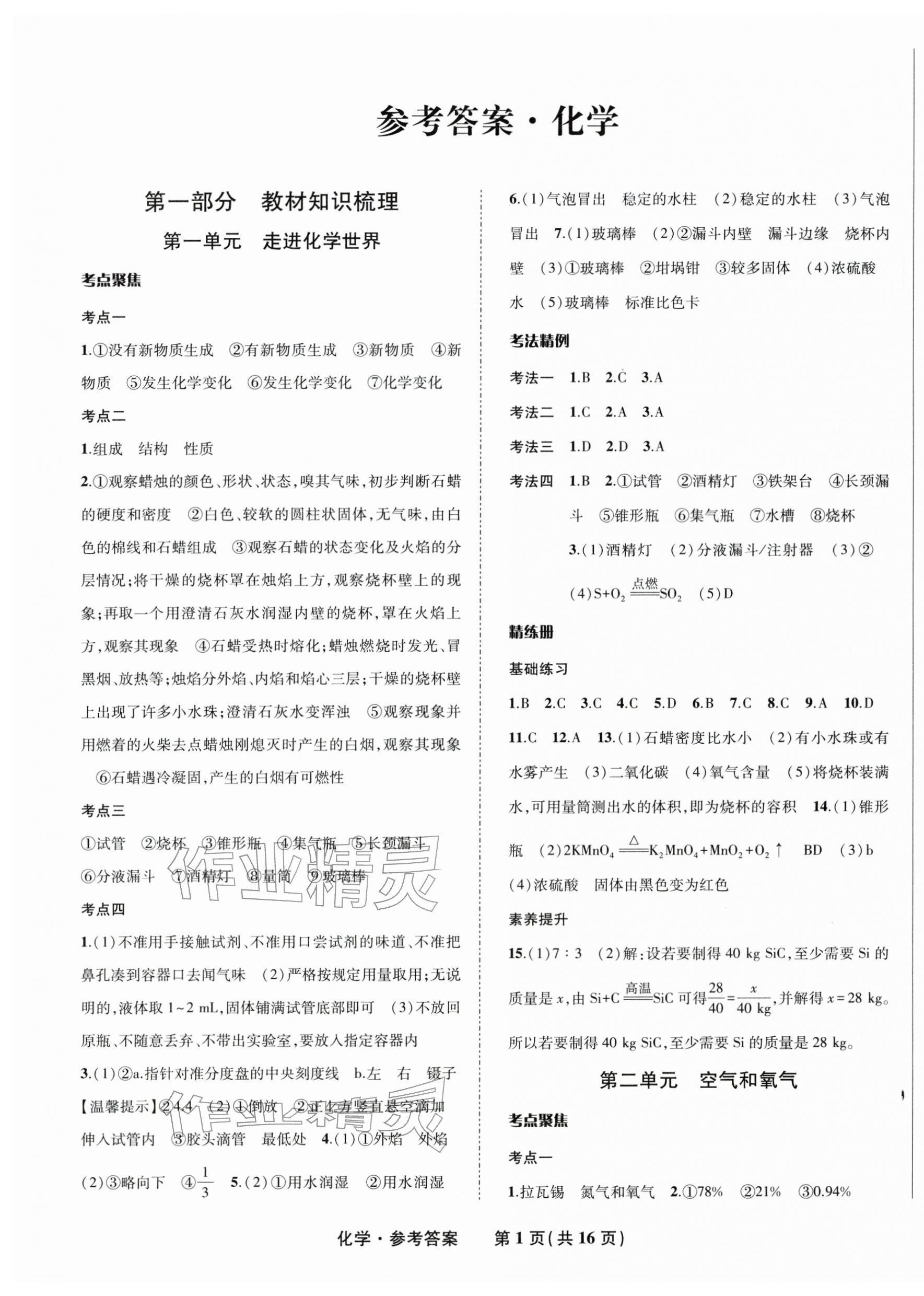 2026年九年级毕业班综合练习与检测化学中考&nbsp;第1页