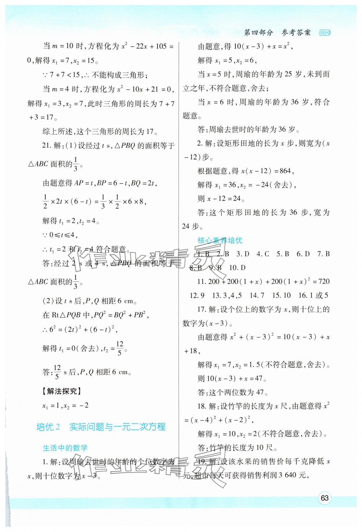 2025年寒假作業(yè)與生活陜西師范大學(xué)出版總社九年級(jí)數(shù)學(xué)人教版 參考答案第2頁