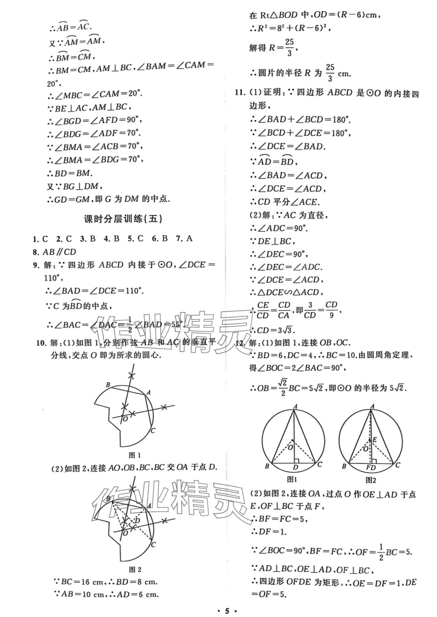 2024年同步練習(xí)冊(cè)分層卷九年級(jí)數(shù)學(xué)下冊(cè)魯教版五四制 第5頁(yè)