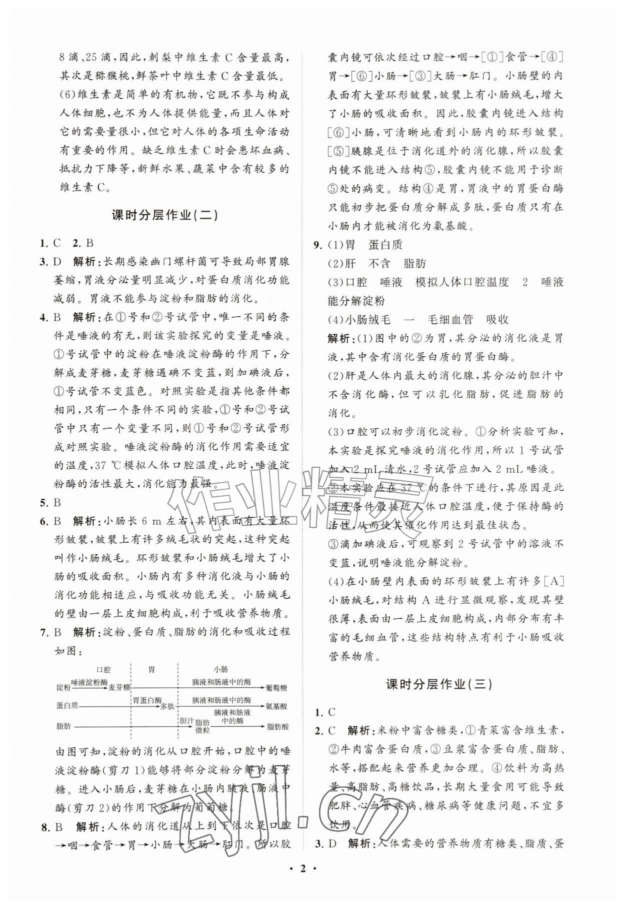 2026年同步练习册分层拓展八年级生物上册济南版&nbsp;参考答案第2页