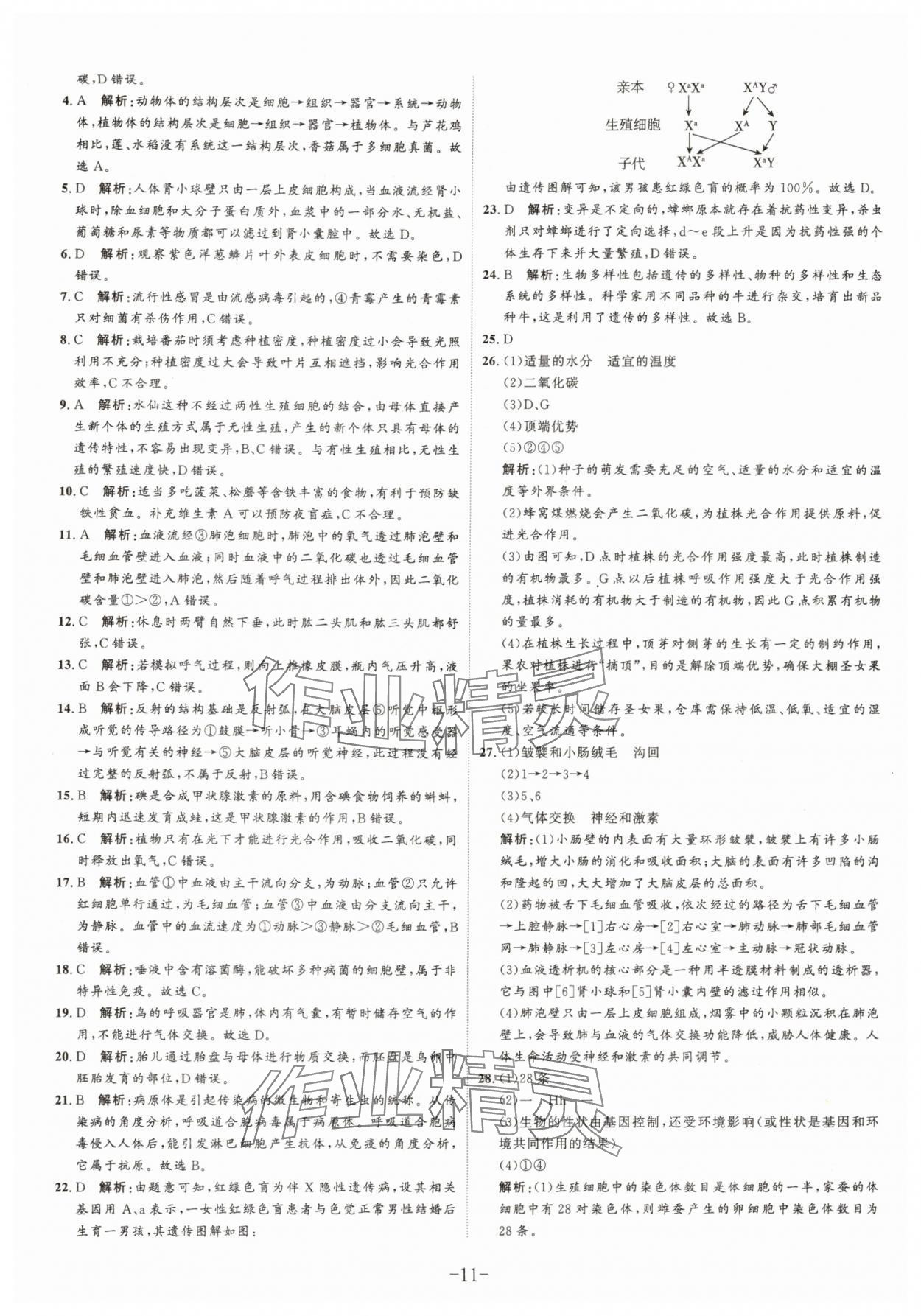 2025年中考試題匯編與解析生物山東專版 參考答案第11頁