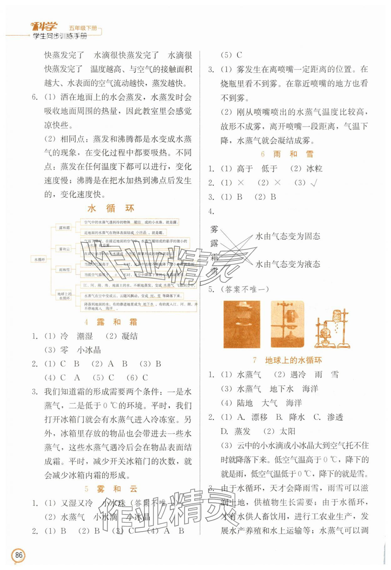 2025年学生同步训练手册五年级科学下册冀人版 第2页