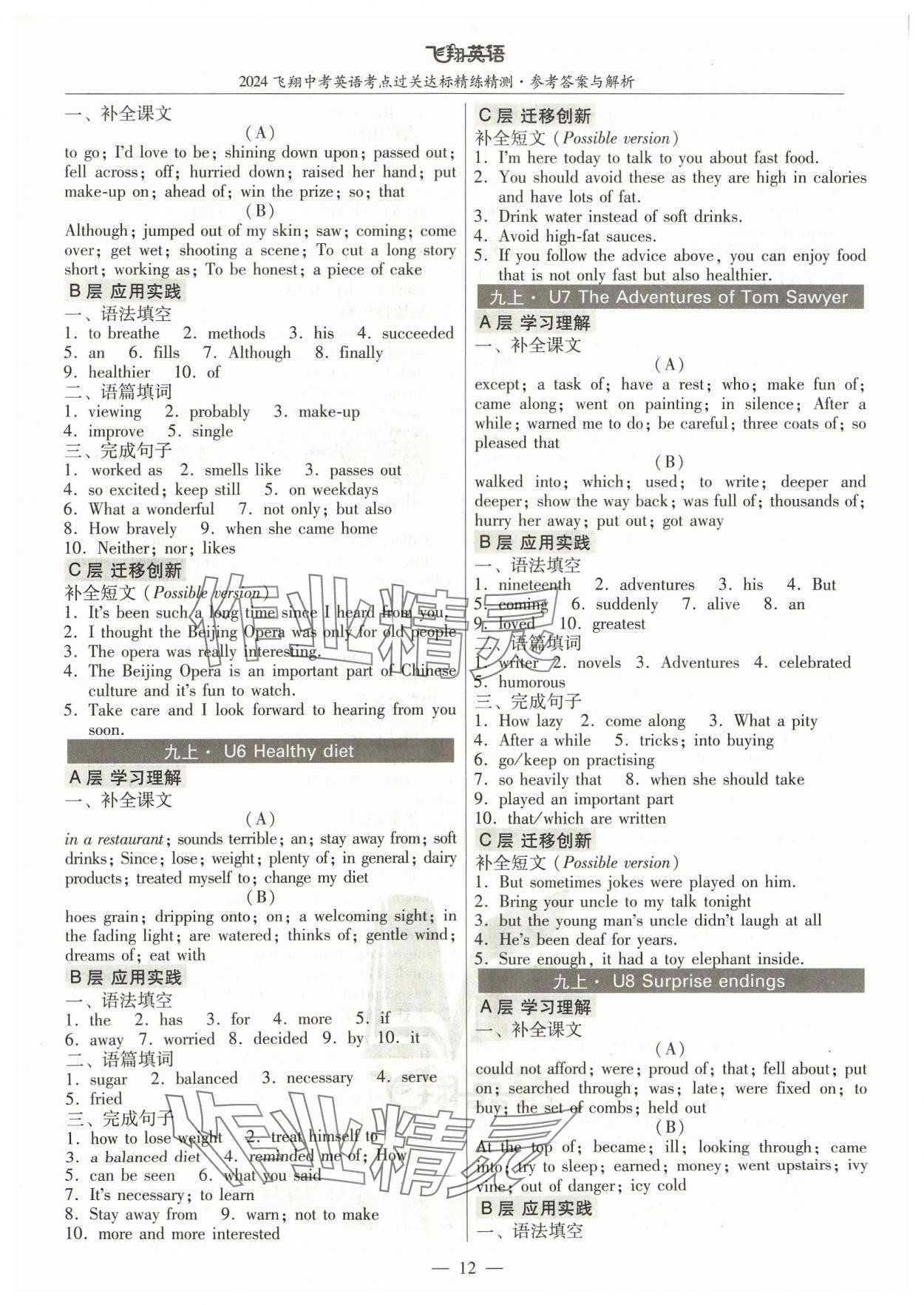 2024年飞翔英语中考广州专版&nbsp;参考答案第12页