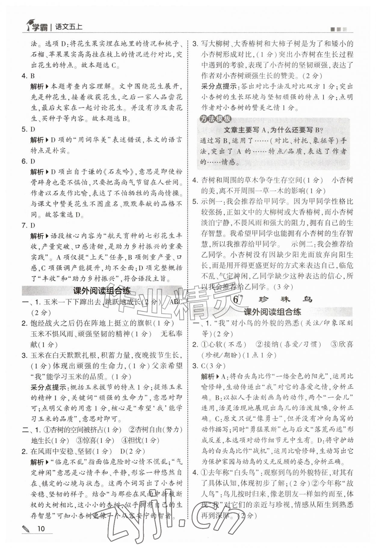 2026年经纶学典5星学霸五年级语文上册人教版&nbsp;第10页