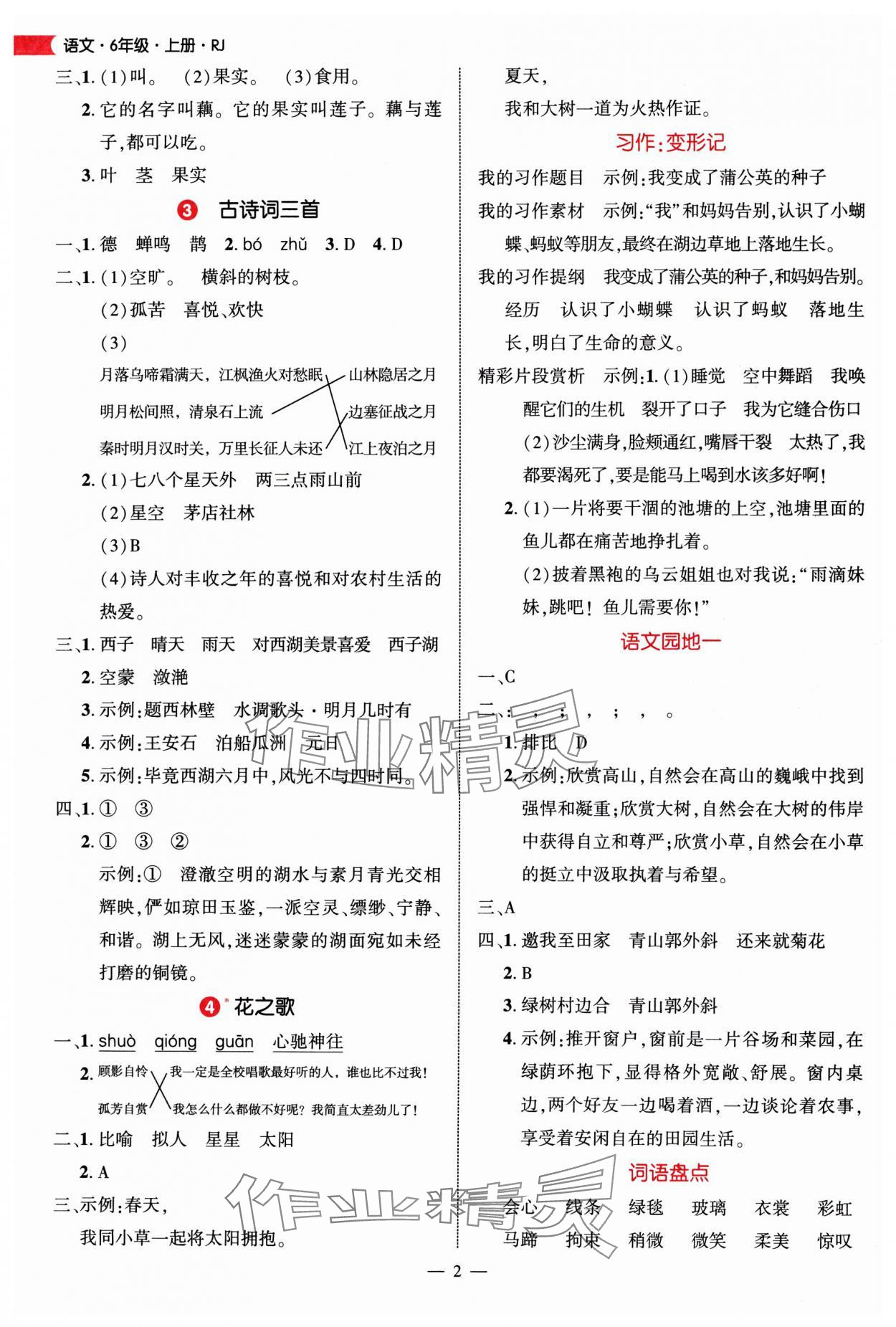 2025年细解巧练六年级语文上册人教版 第2页