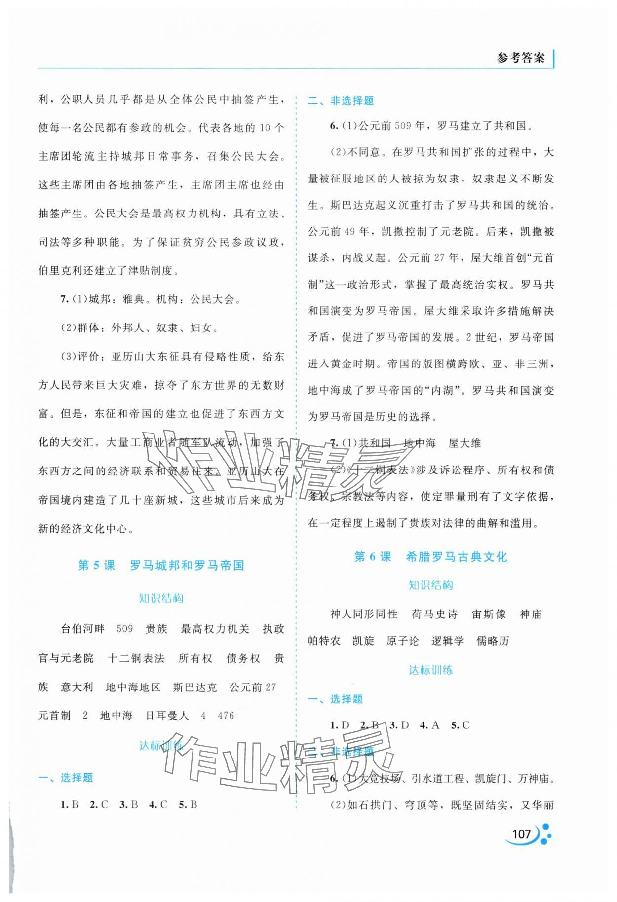 2025年新课程复习与提高九年级历史上册人教版 第3页