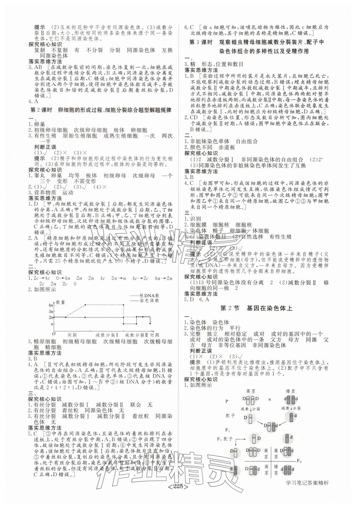 2026年步步高学习笔记生物必修2人教版&nbsp;参考答案第4页