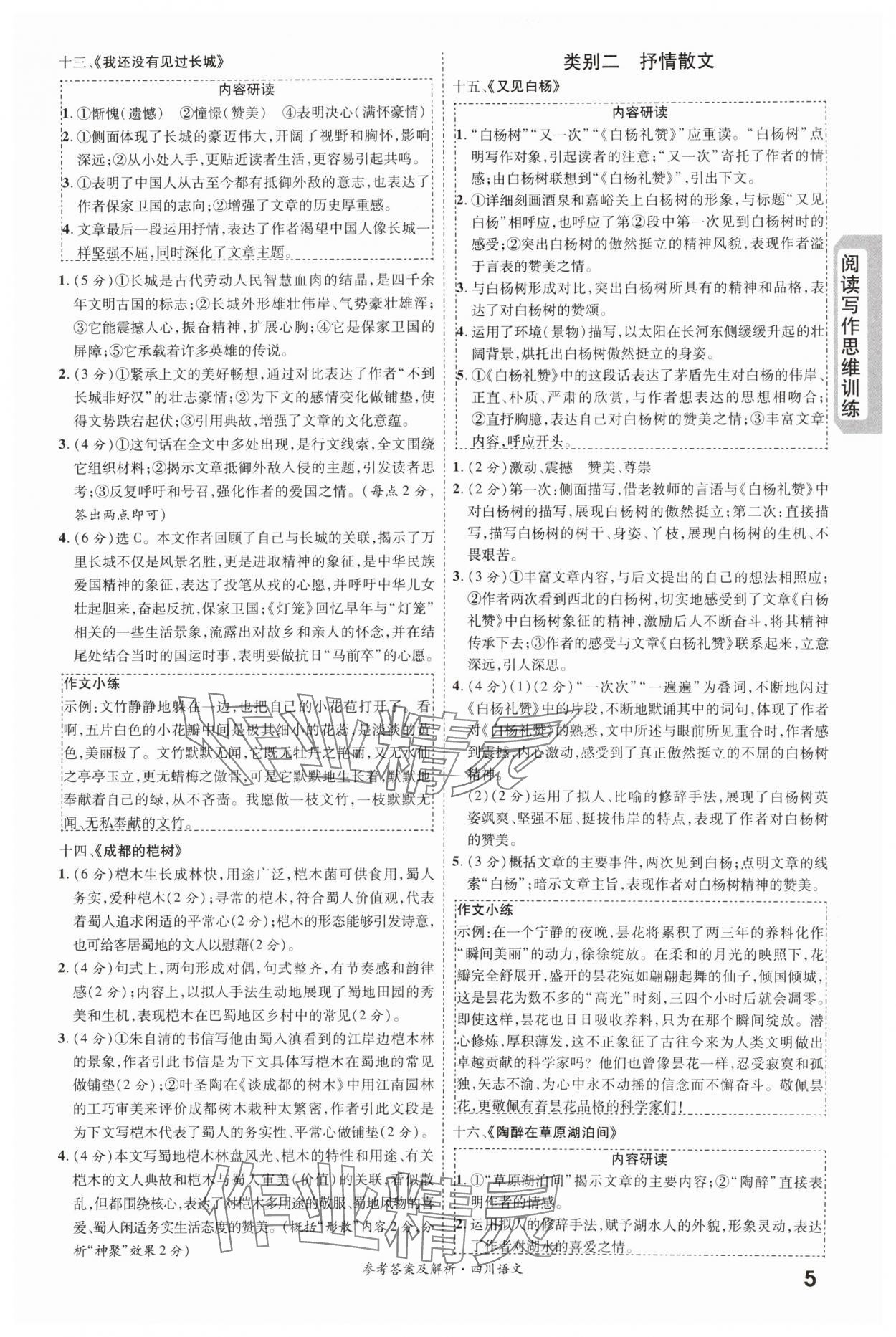 2024年一戰(zhàn)成名新中考語(yǔ)文四川專(zhuān)版&nbsp;第5頁(yè)